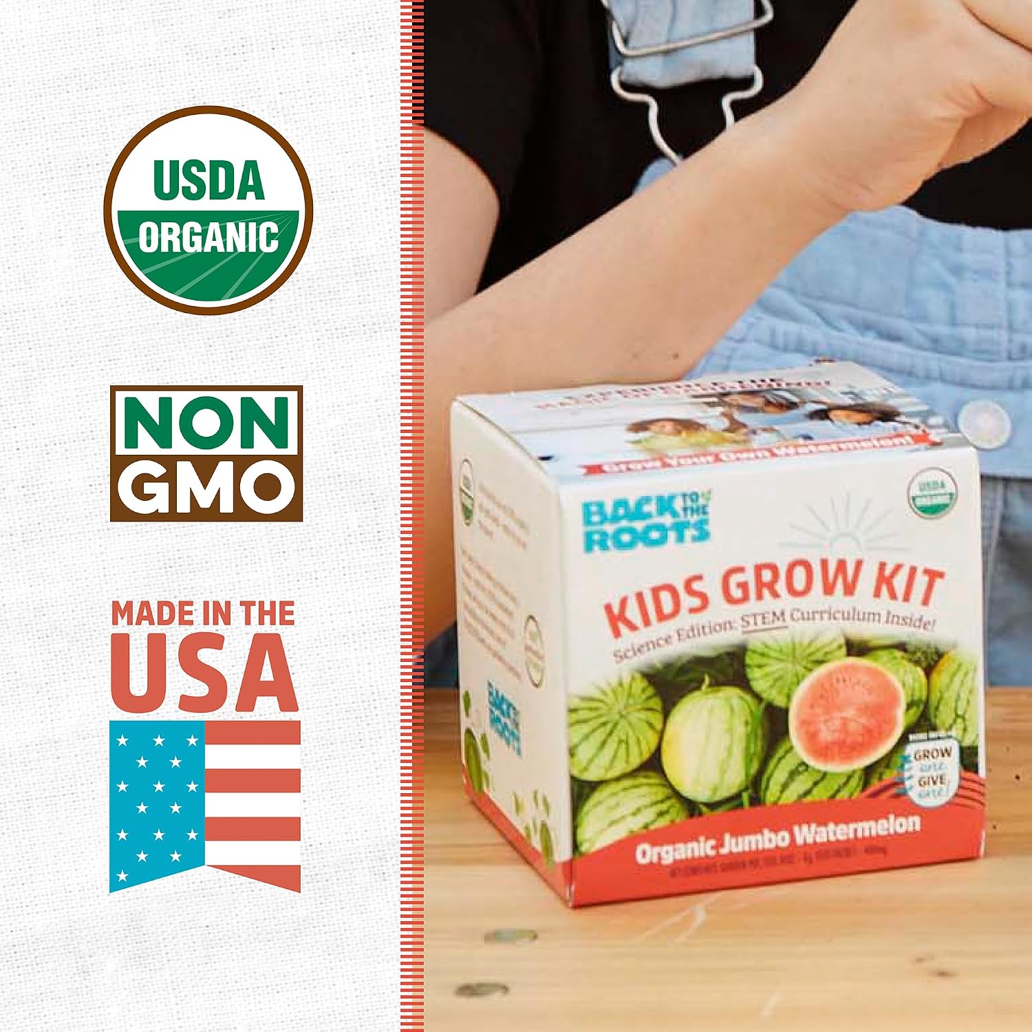 Back to the Roots Sunflower Organic Windowsill Planter Kit - Grows Year Round, Includes Everything Needed for Planting