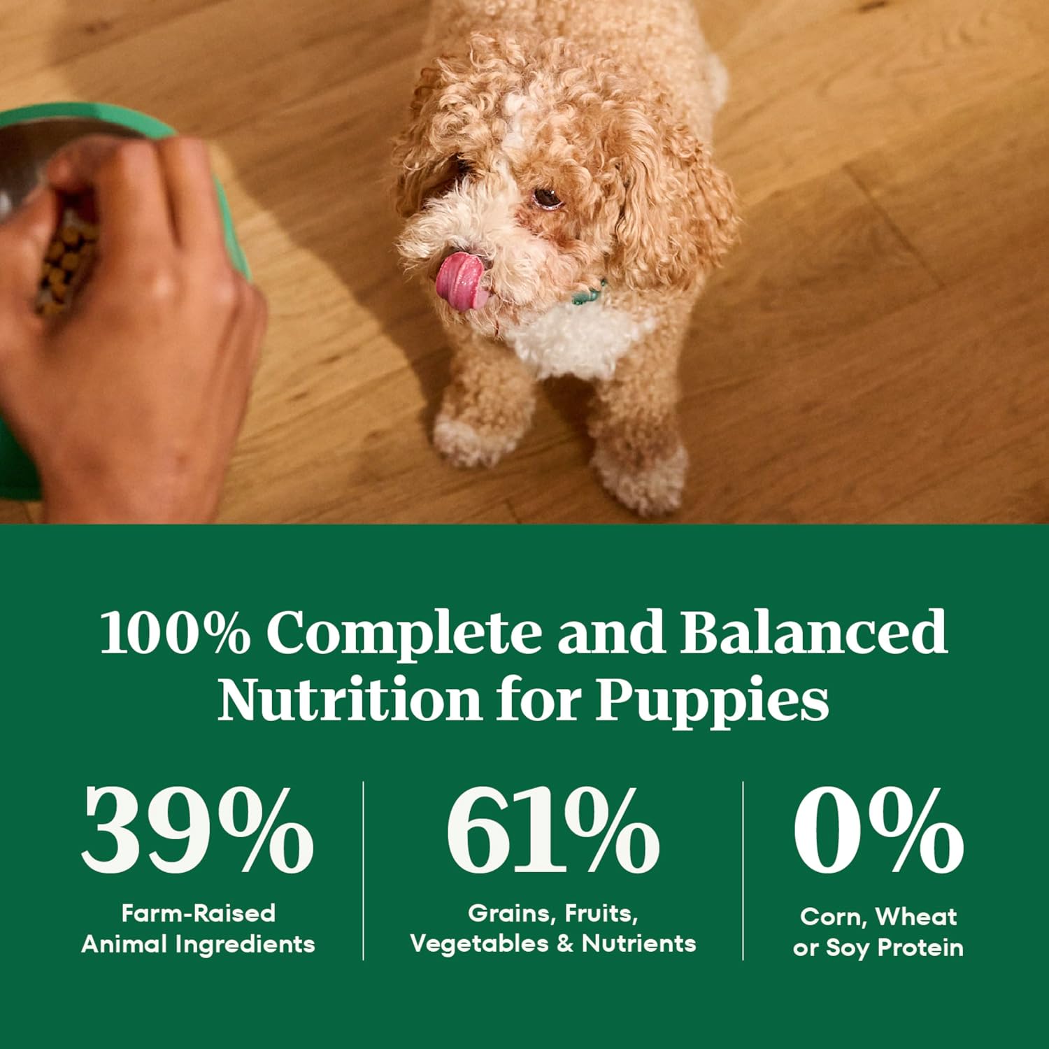 Nutro Natural Choice Puppy Dry Dog Food, Chicken & Brown Rice, 5 lb | Real chicken #1 ingredient, supports brain & eye development, healthy bones & muscles, non-GMO, made in USA