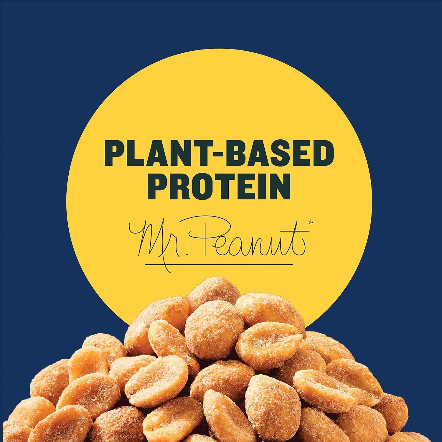 PLANTERS Honey Roasted Peanuts, Plant Based Protein Snacks, 16 Oz (1 Ct) | Roasted Sweet & Salty Nuts. Kosher. Resealable Jar. Snacks for Adults. Party Mix, Party Snacks