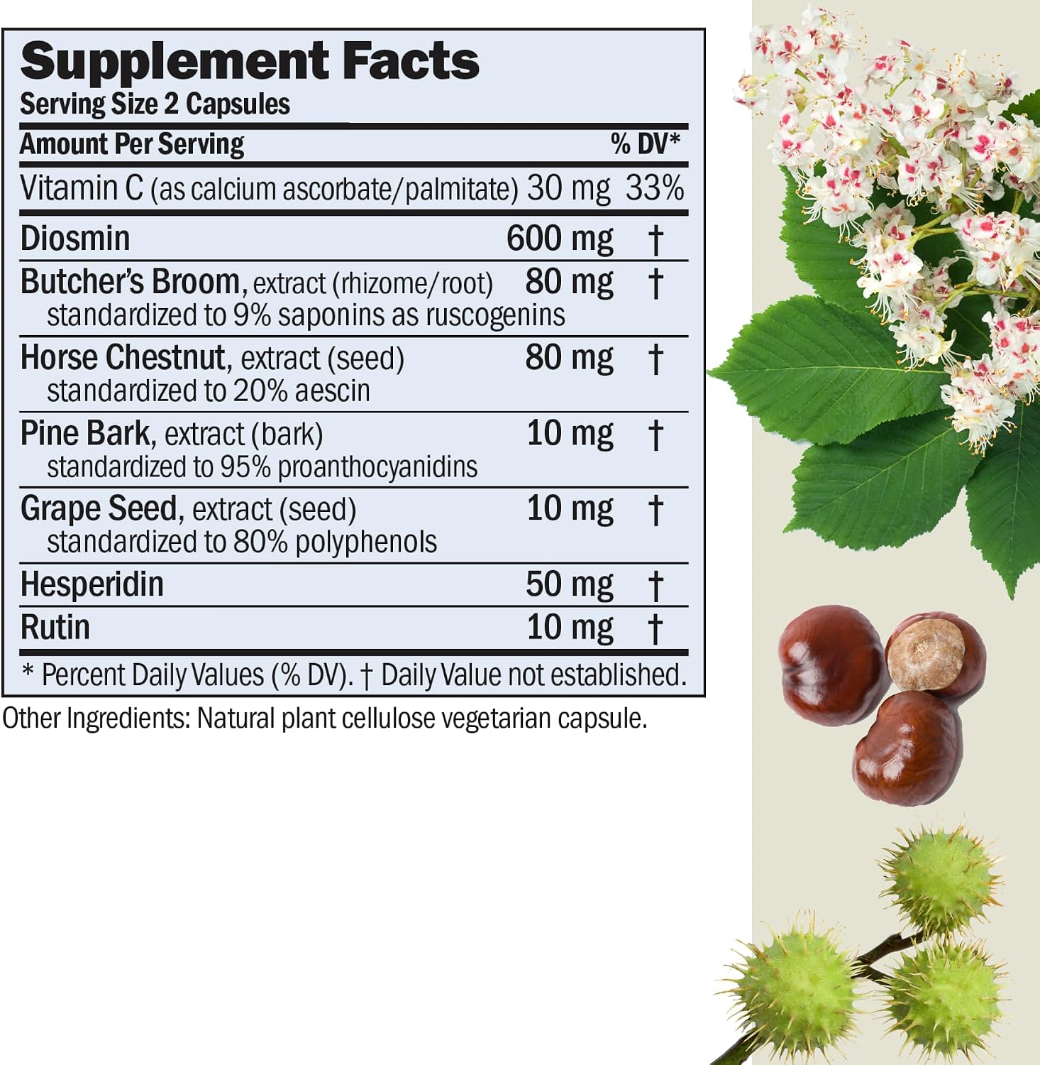 ANDREW LESSMAN ProCaps Circulation & Vein Support 30 Capsules | Standardized Botanical Extracts & Flavonoids in a Comprehensive Circulation & Vein Support Formula