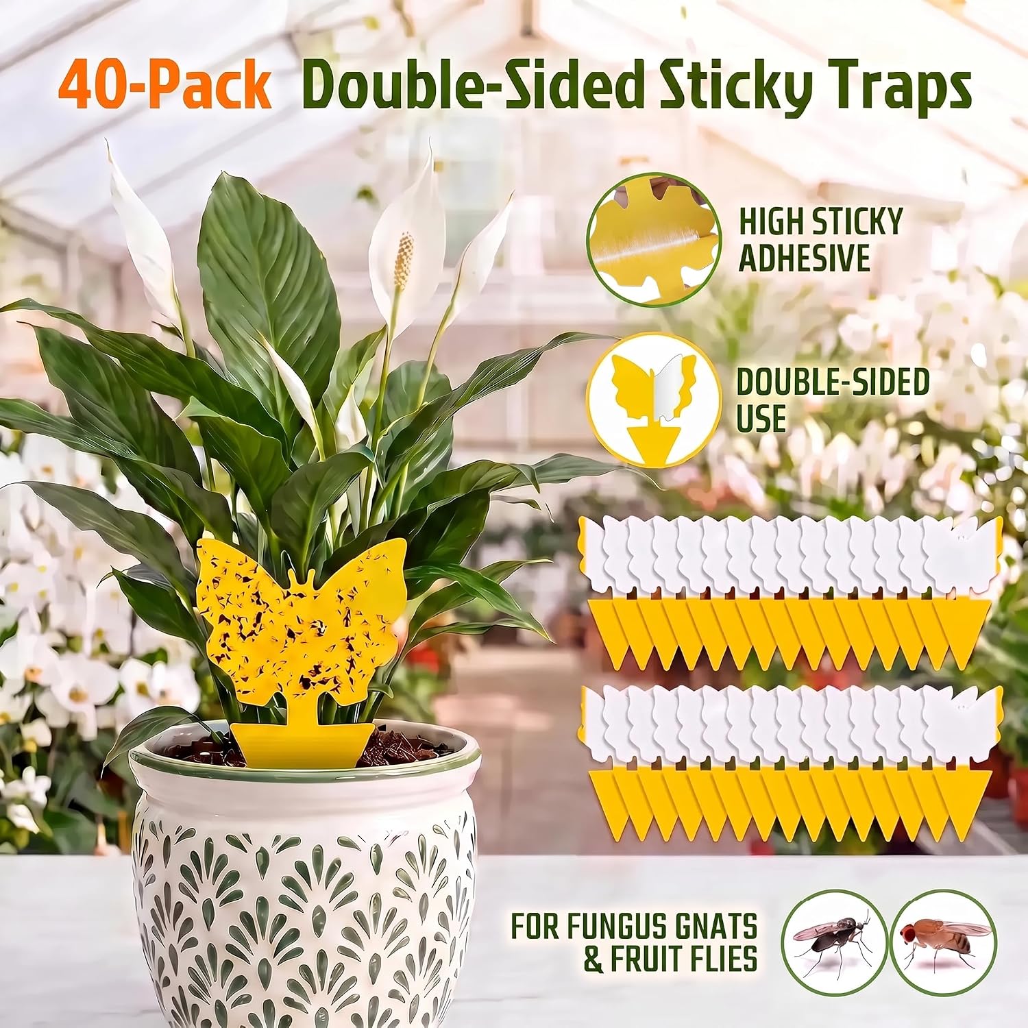 40 Pack Fungus Gnat Traps, Yellow Sticky Fruit Fly Traps for Indoor Plants