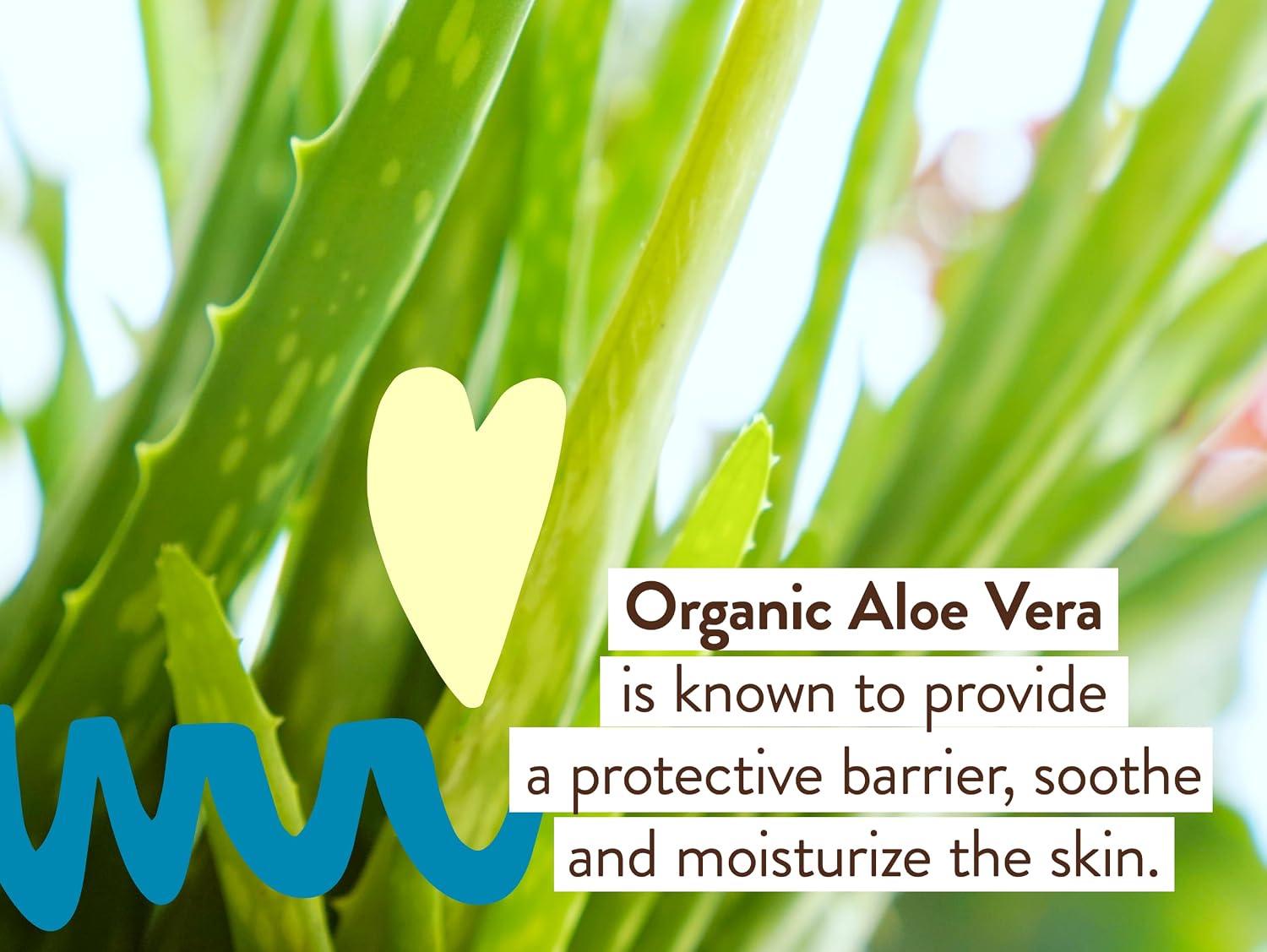 Babo Botanicals Daily Sheer Mineral Face Sunscreen Lotion SPF40 - Natural Zinc Oxide & Titanium Dioxide - 70% Organic Ingredients - Raspberry Oil & Aloe Vera - Fragrance Free - For Face - For all ages