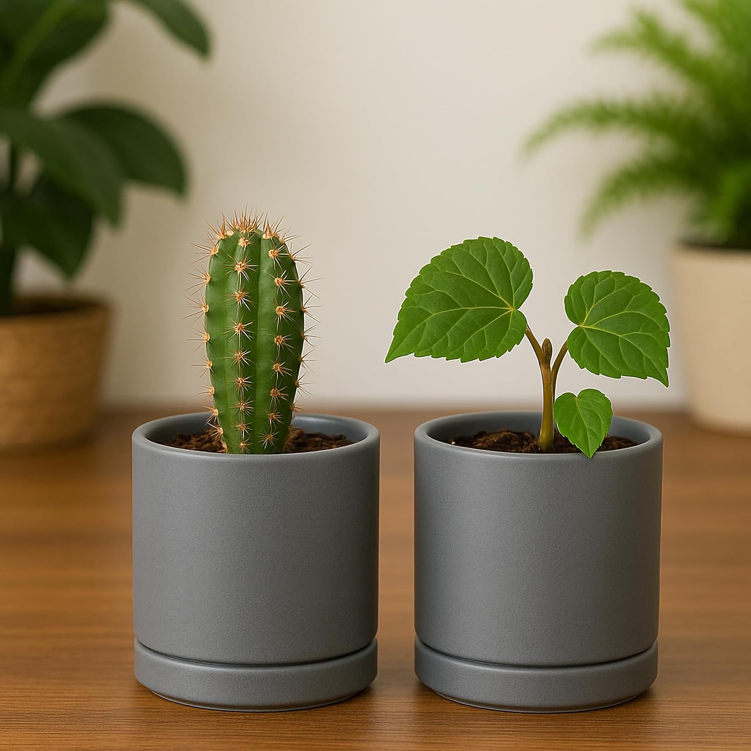 D'vine Dev 2-Pack Ceramic Pots with Saucers, White/Grey, 4.7 in, 94-V-B-6