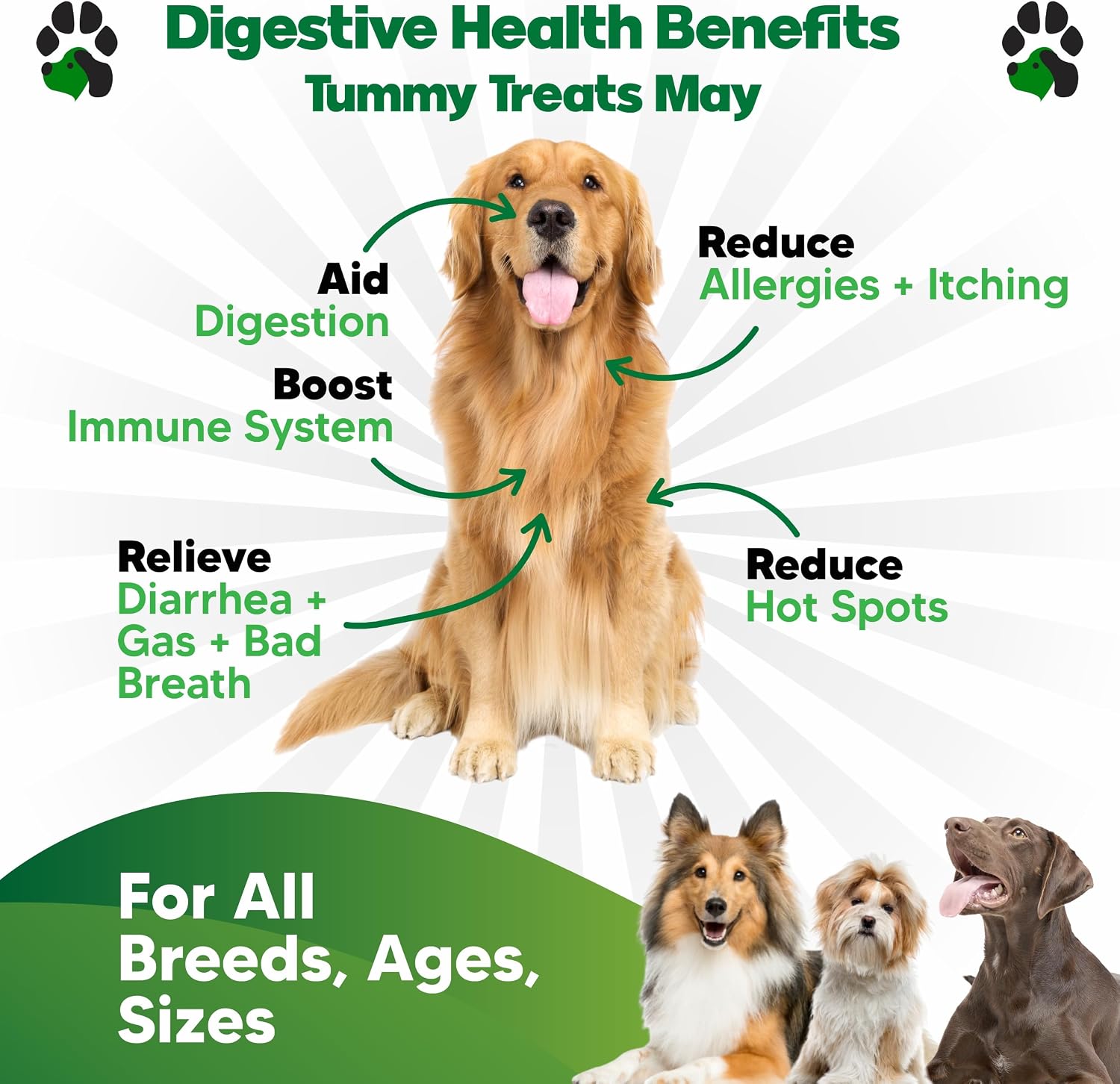 Probiotics for Dogs Digestive Health - Dog Probiotics and Digestive Enzymes - Allergy Relief for Dogs - Probiotic for Dogs Gut Health - Puppy Probiotic Tummy Treats - 120 Dog Probiotic Chews | Gut Health, Allergy and Immune, 4B CFU, 5 Strains, Chicken Fl…