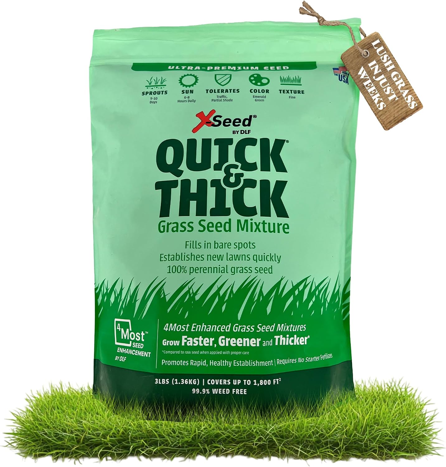 X-Seed Ultra Premium Quick and Thick Lawn Seed Mixture – Rapid Germination for Any Lawn, Dense Coverage in Sun to Shade, High-Traffic Areas, Fescue, Kentucky Blue, & Perennial Ryegrass Blend, 3lb Bag