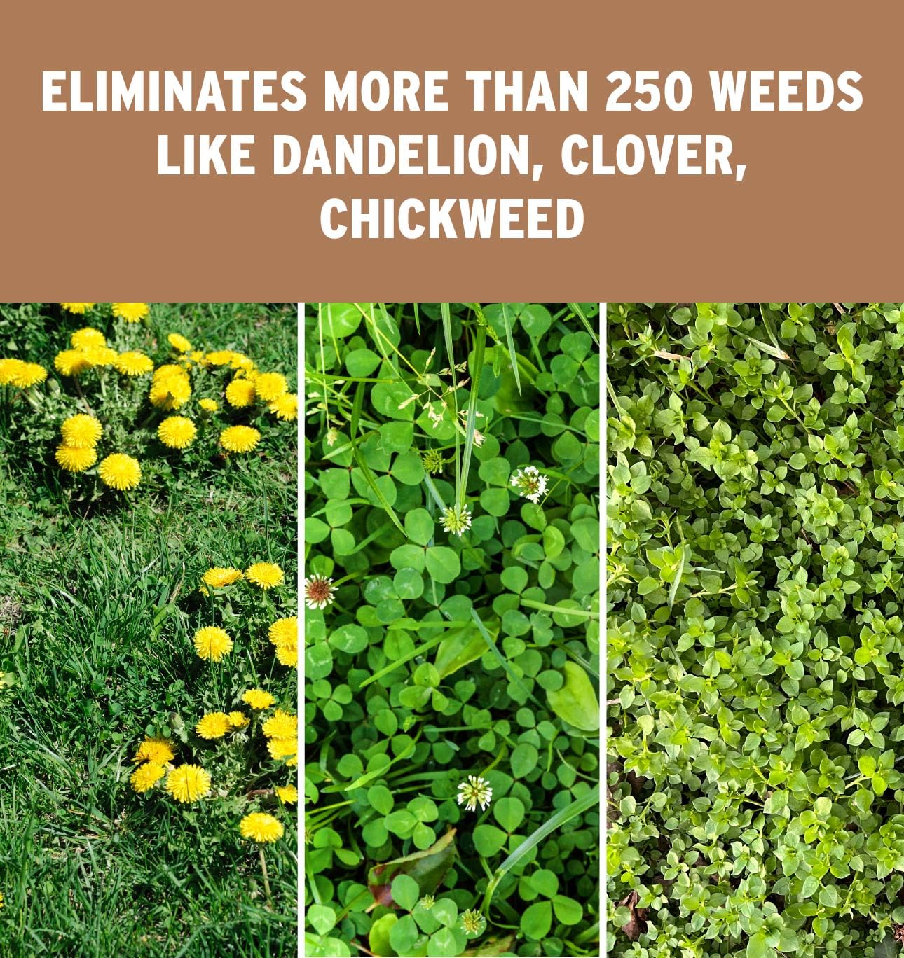 The Andersons Professional Surge Weed and Feed 16-0-9 Post-Emergent Weed Control and Fertilizer - Covers up to 16,000 sq ft (40 lb)