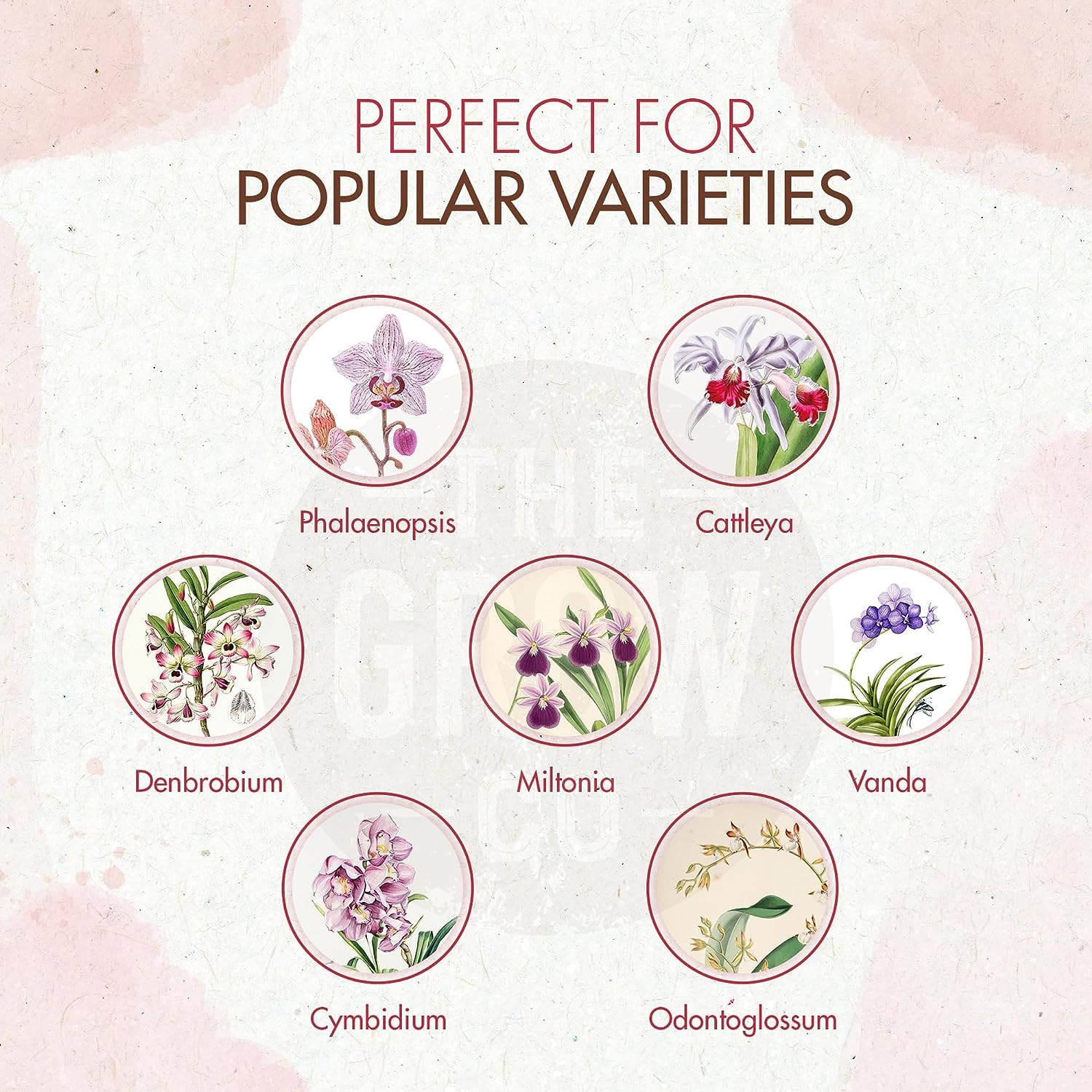 Orchid Plant Food (5 oz