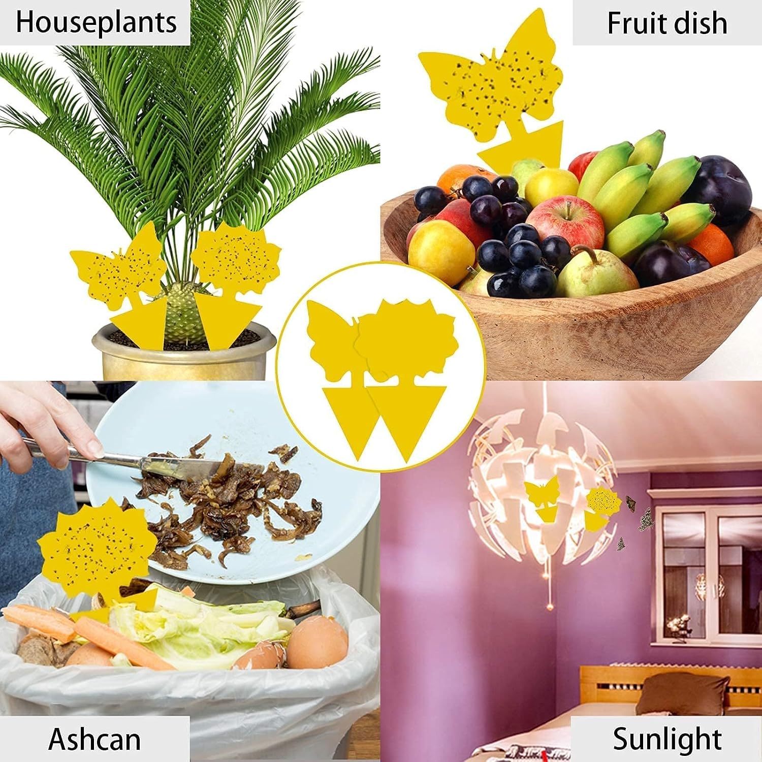 40 Pack Fungus Gnat Traps, Yellow Sticky Fruit Fly Traps for Indoor Plants