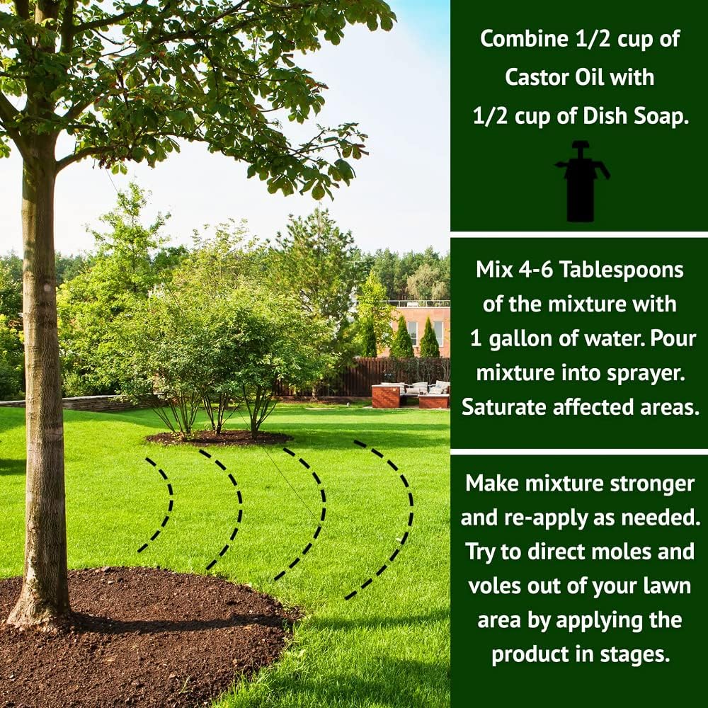 Nature's MACE Mole and Vole Mace, Mole Deterrent for Yard, 1 Gallon, 100% Pure Castor Oil, Lawns, Mole Repellent, Stop Tunneling, Mole Remover Treatment, Castor Oil Repellent, People, Pet, Plant Safe
