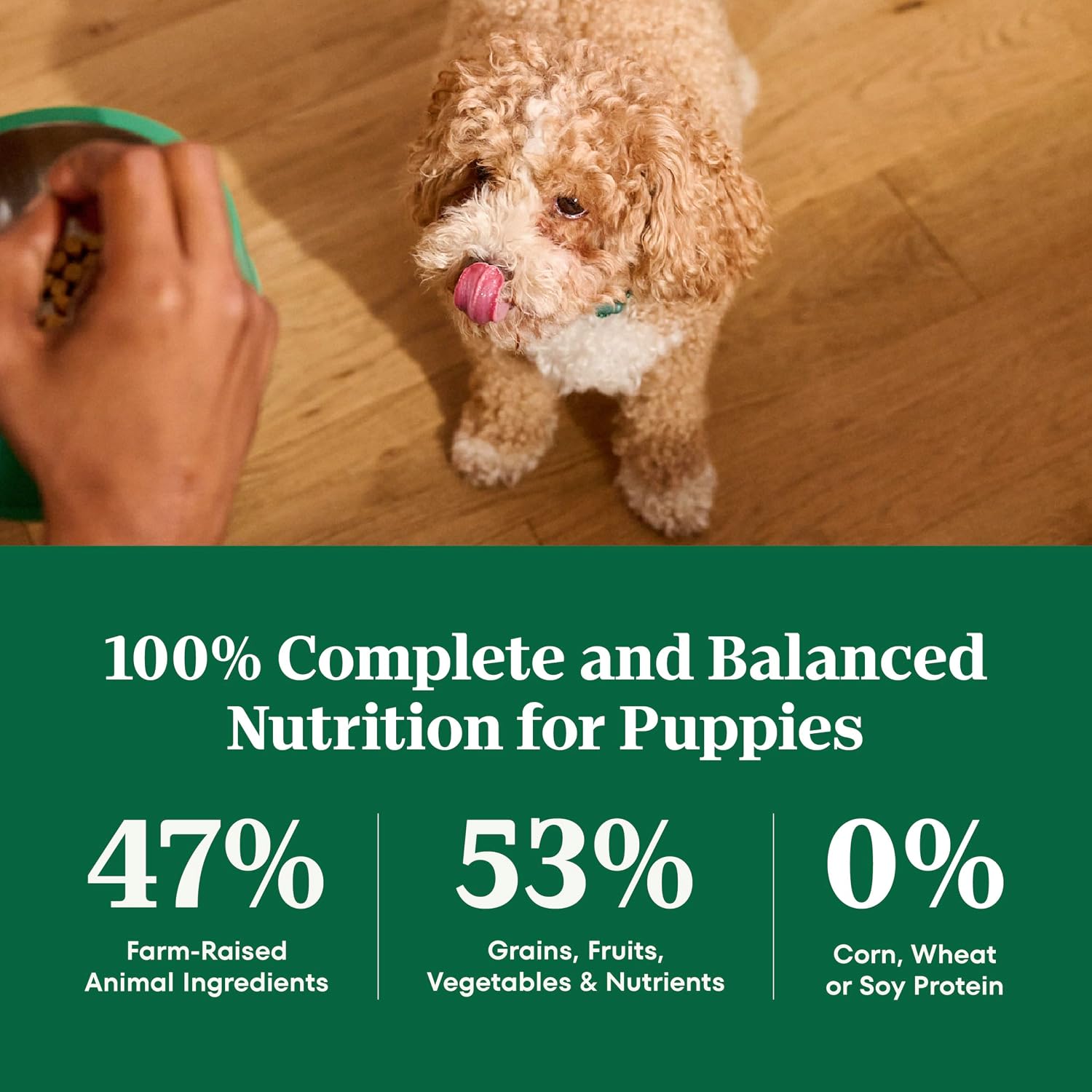 Nutro Natural Choice Puppy Dry Dog Food, Chicken & Brown Rice, 5 lb | Real chicken #1 ingredient, supports brain & eye development, healthy bones & muscles, non-GMO, made in USA
