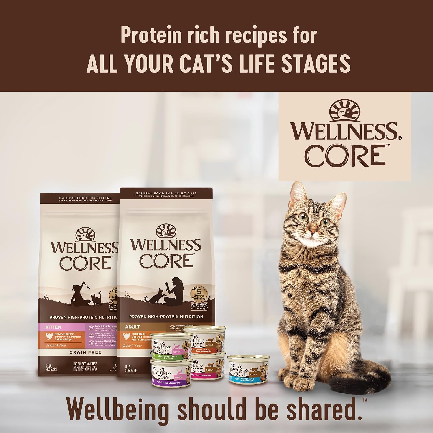 Wellness CORE Pate Adult Canned Wet Cat Food, Natural, Protein Rich, Grain Free, Turkey and Duck Recipe, 3 oz, Pack of 12 Cans