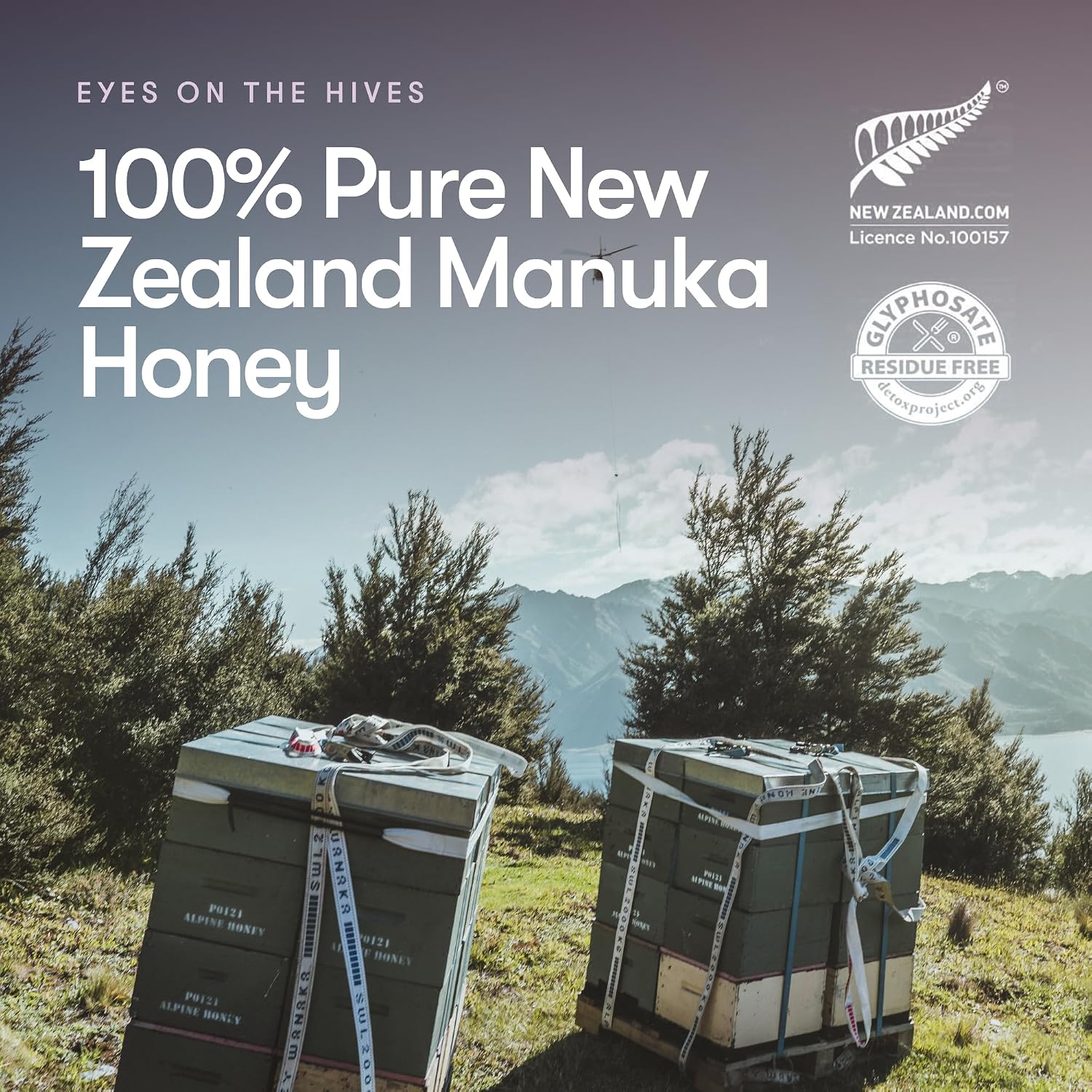 Raw Manuka Honey UMF 24+ MGO 1122+, UMF Certified, 3rd Party Tested, 8.8oz