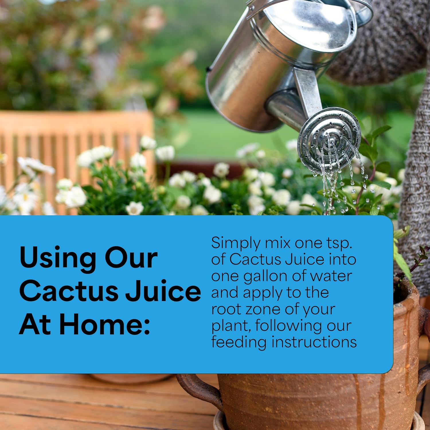 Grow More Cactus Juice (1-7-6) - 16oz of Succulent Fertilizer - Cactus Food for Growth & Root Development - Calcium-Rich Fertilizer for Succulents
