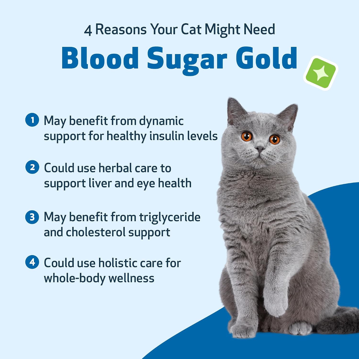 Pet Wellbeing Blood Sugar Gold for Cats - Blood Sugar Support, 2 oz | NASC Certified & Vet-Formulated Liquid Blood Glucose Supplement with Gymnema & Devil’s Club for Insulin & Pancreatic Support