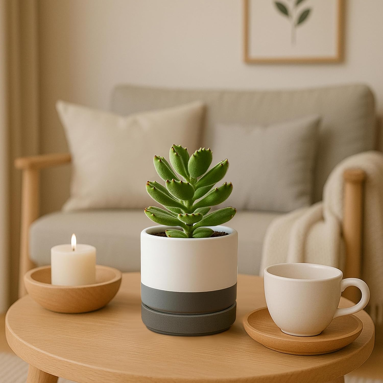 D'vine Dev 2-Pack Ceramic Pots with Saucers, White/Grey, 4.7 in, 94-V-B-6