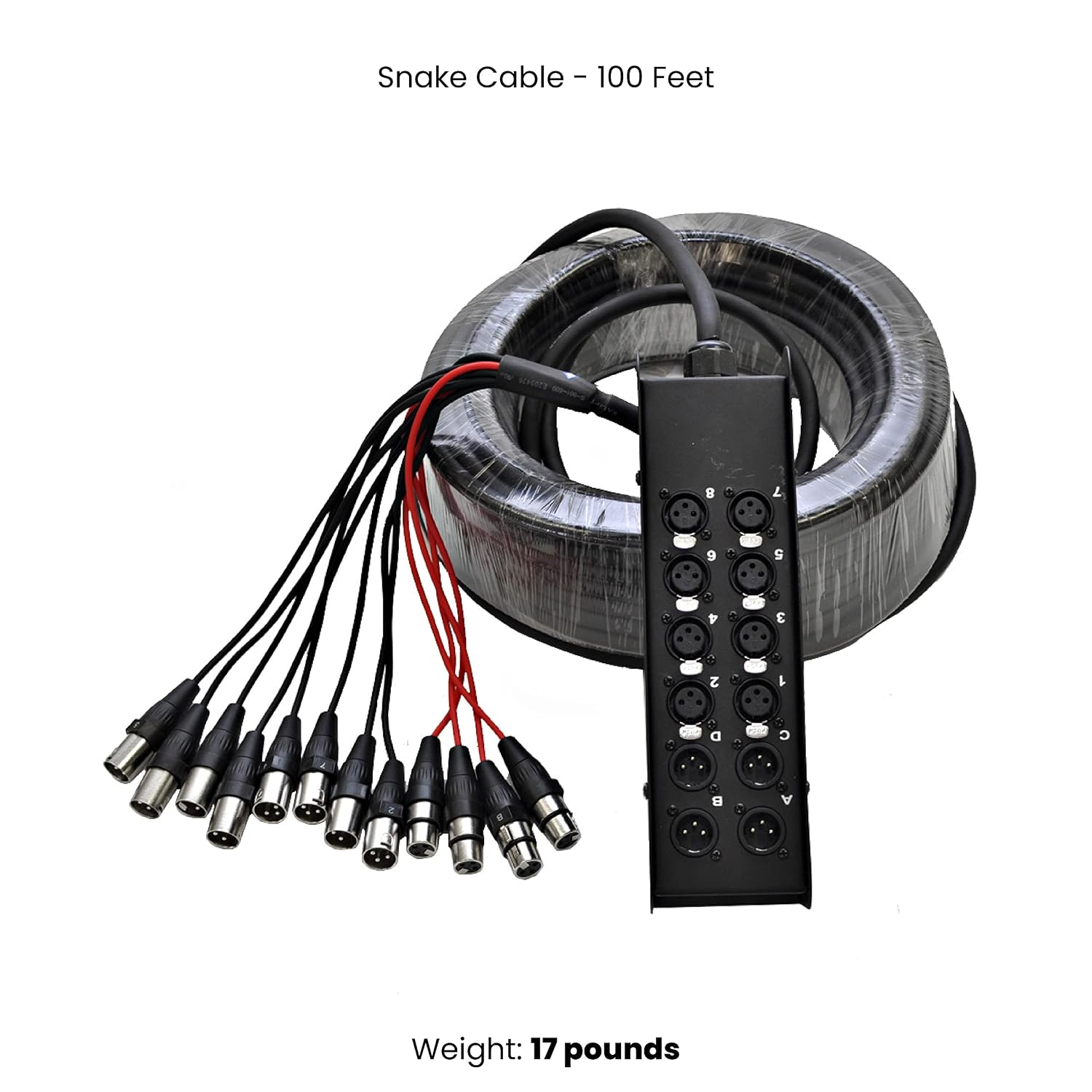 Seismic Audio Speakers 12 Channel Low Profile XLR Send Circuit Board Snake Cable, XLR Splitter Cable, 100 Feet