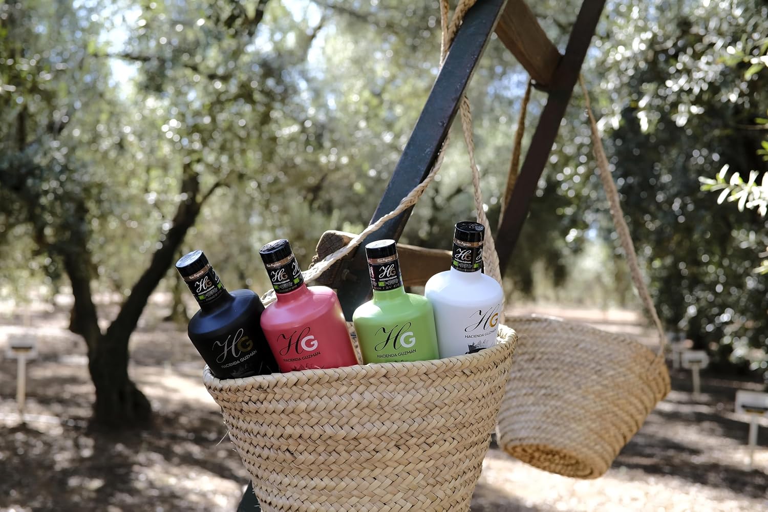 HACIENDA GUZMÁN - Organic and Bio Extra Virgin Olive Oil Hojiblanca. Ideal for grilled or fresh vegetables and white fish. Available in 16.9 FL OZ