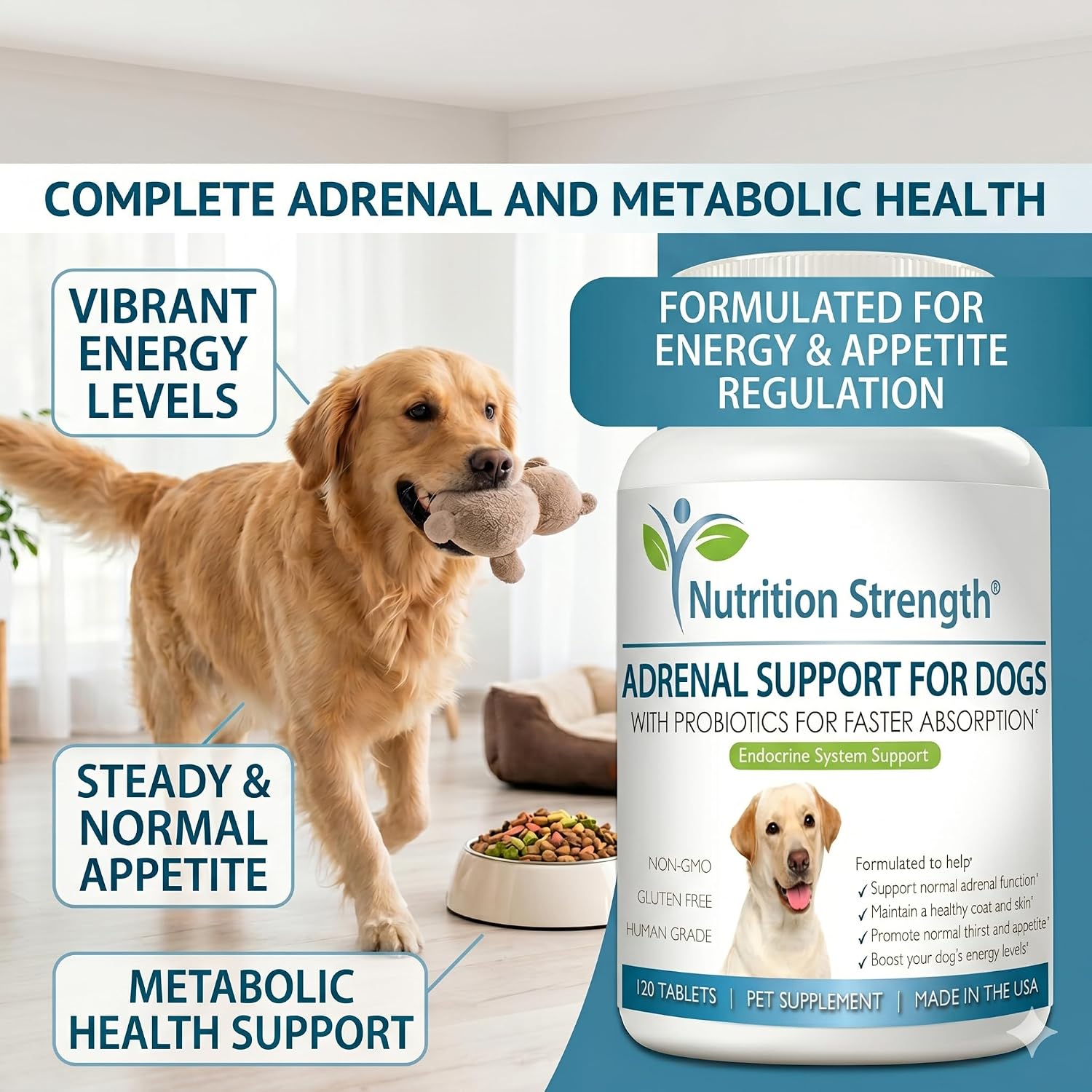 Adrenal Support for Dogs with Cushing's Disease | Maintain a Healthy Coat and Skin | Promote Normal Urination