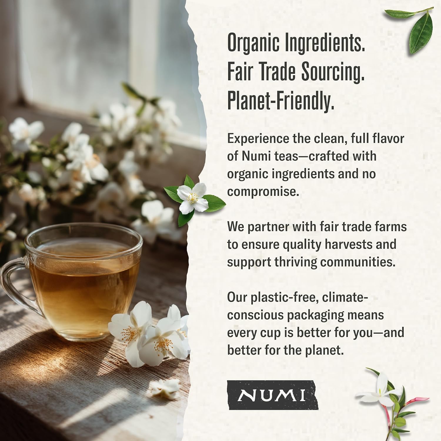 Numi Organic Gunpowder Green Tea – 54 Green Tea Bags – Bold, Smooth Flavor, Packed with Antioxidants, Naturally Energizing, Microplastic-Free Tea Bags