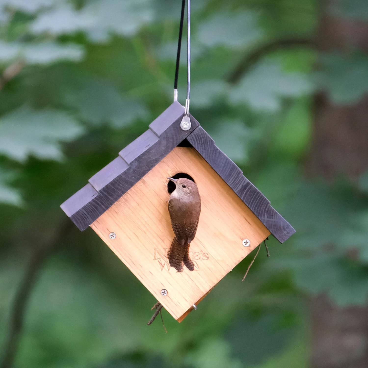 Nature's Way Bird Products CWH1 Cedar Wren House, 8" x 8.875" x 8.125", standard, Brown