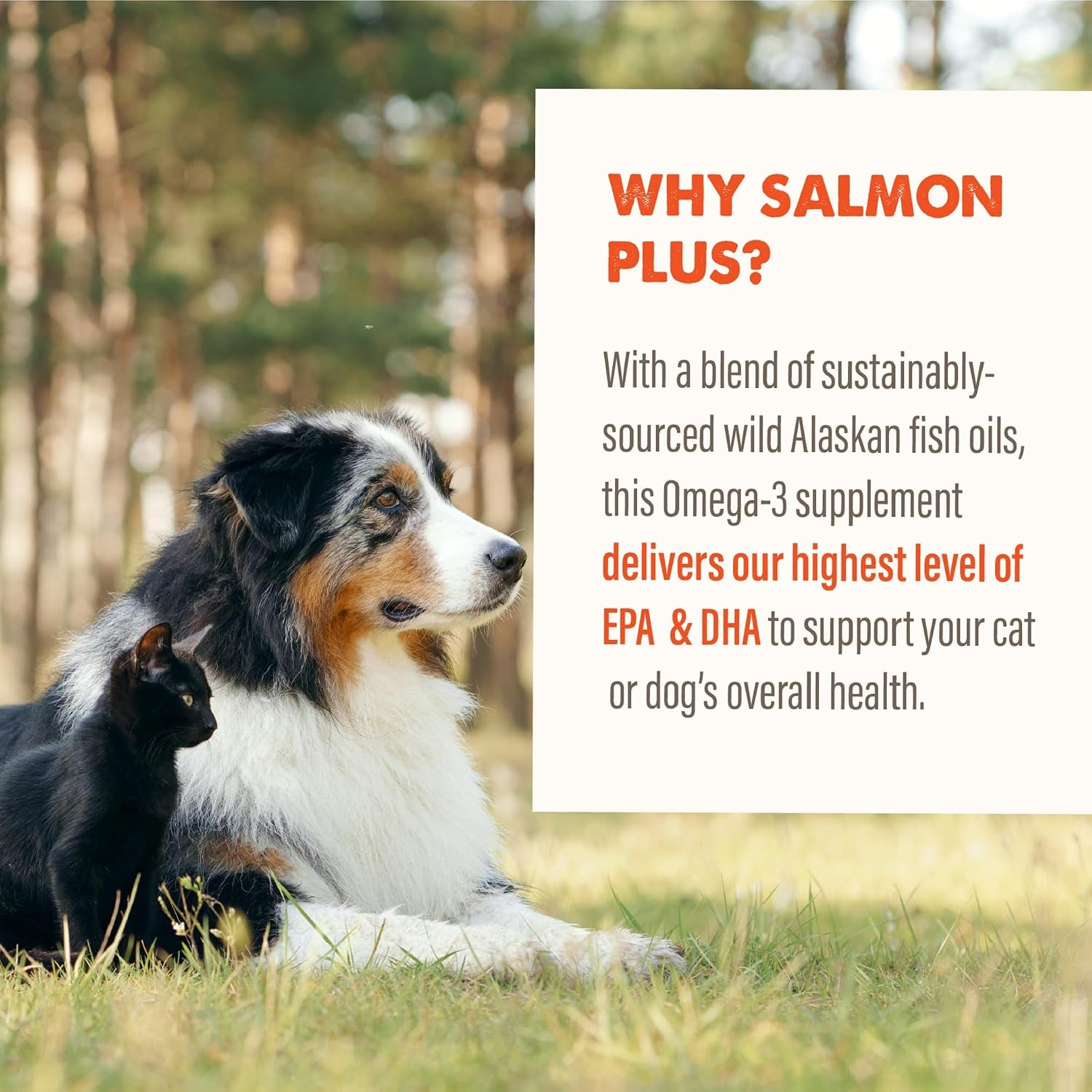 Grizzly Pet Products Salmon Plus Omega 3-6-9 Food Supplement for Dogs and Cats, 32 Ounce