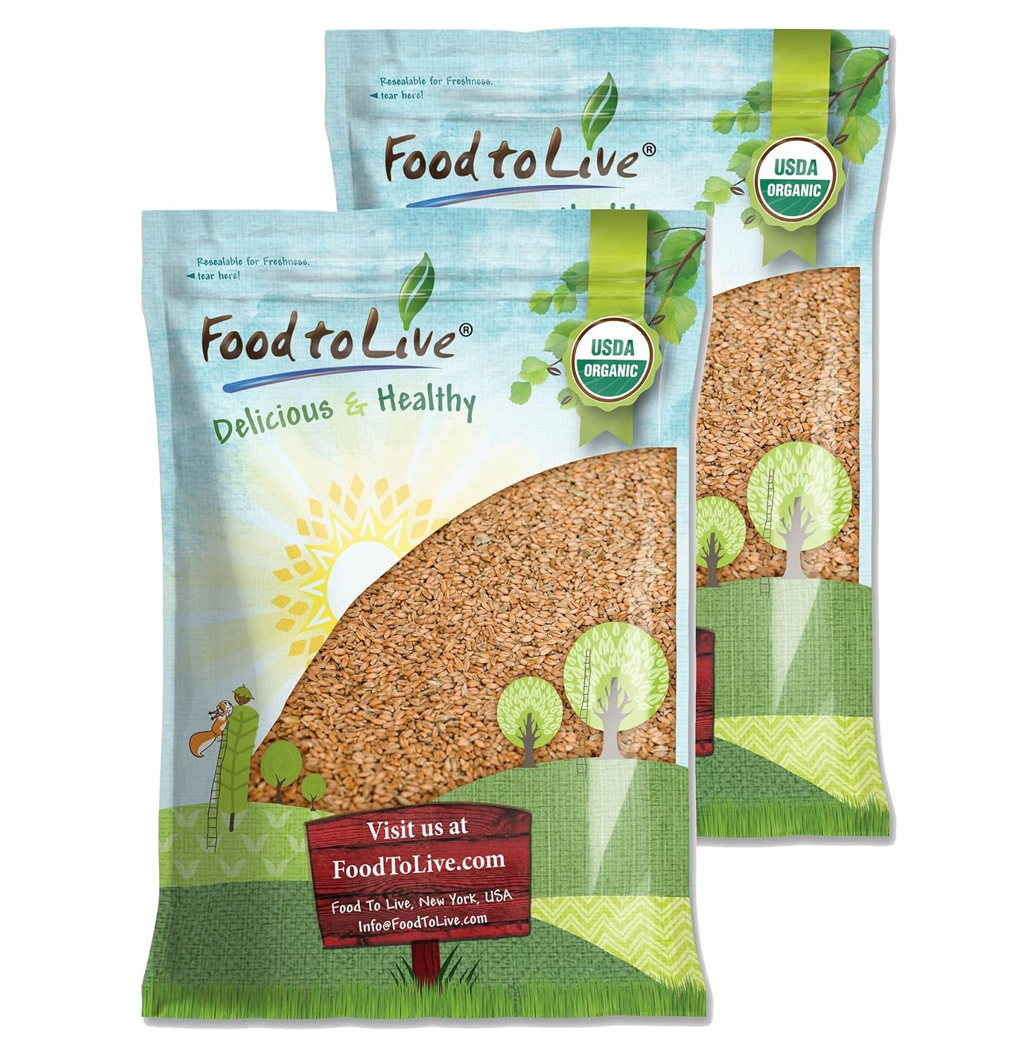 Food to Live Organic Hulled Barley, 15 Pounds – Non-GMO, 100% Whole Grain, Kosher, Vegan, Bulk. Suited for Home Brewing, Grinding. High in Fiber. Great for Chili, Hot Cereal, Salads, Soup.