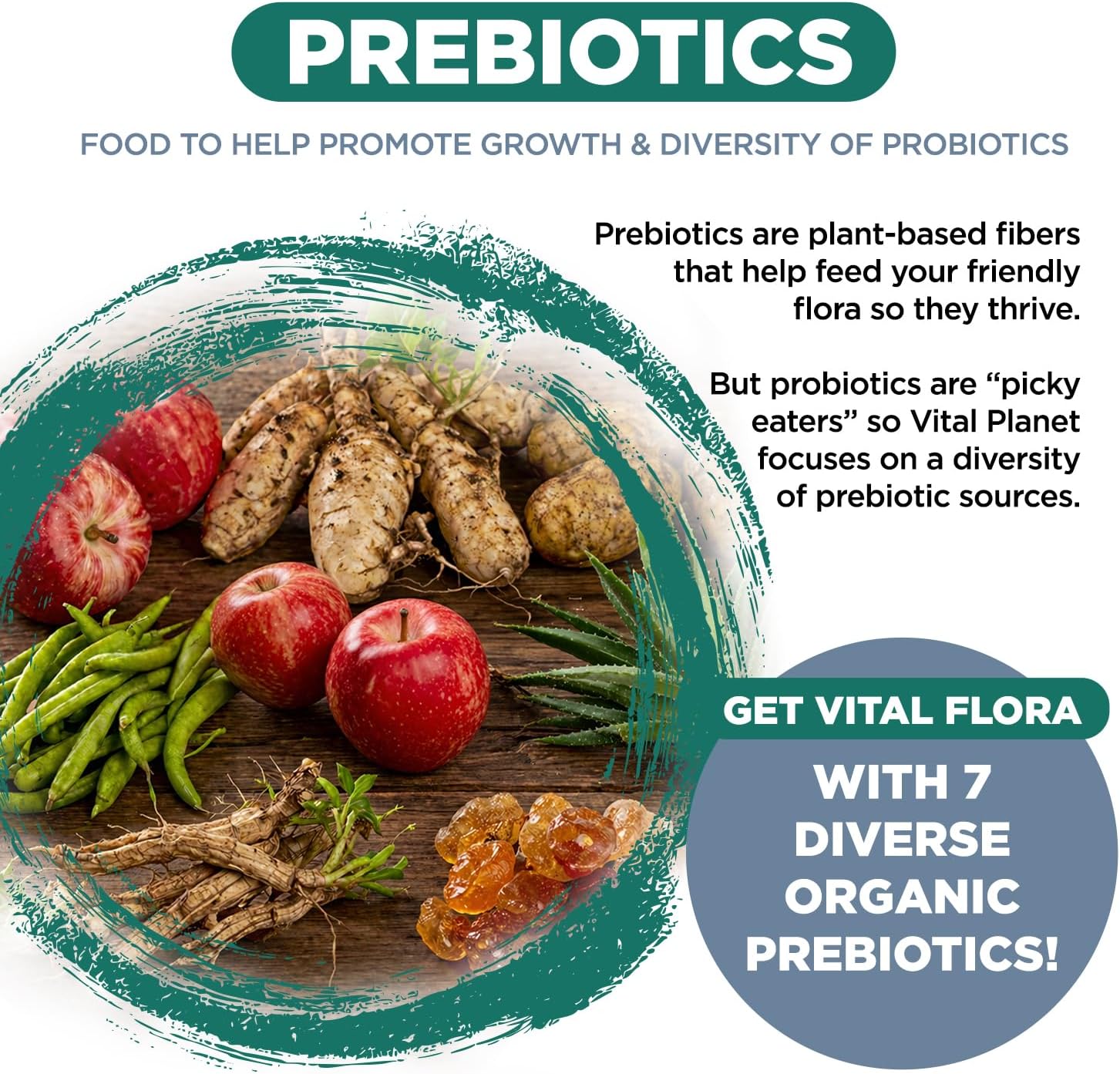 Vital Planet - Vital Flora Ultra Daily Probiotic 60 Billion CFU, 60 Diverse Strains, 7 Organic Prebiotics, Immune Support
