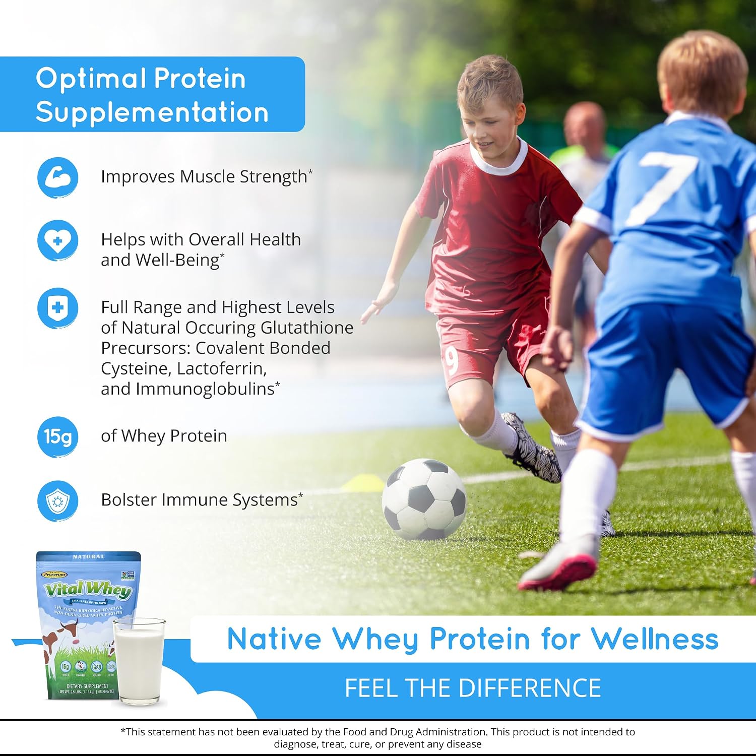 Vanilla Grass-Fed Whey Protein Powder, Immune Vitality, Recovery, 600g | 15g protein & 3.5g BCAAs per scoop | Just 5 clean ingredients | Monk fruit sweetened | Tested for heavy metals & purity