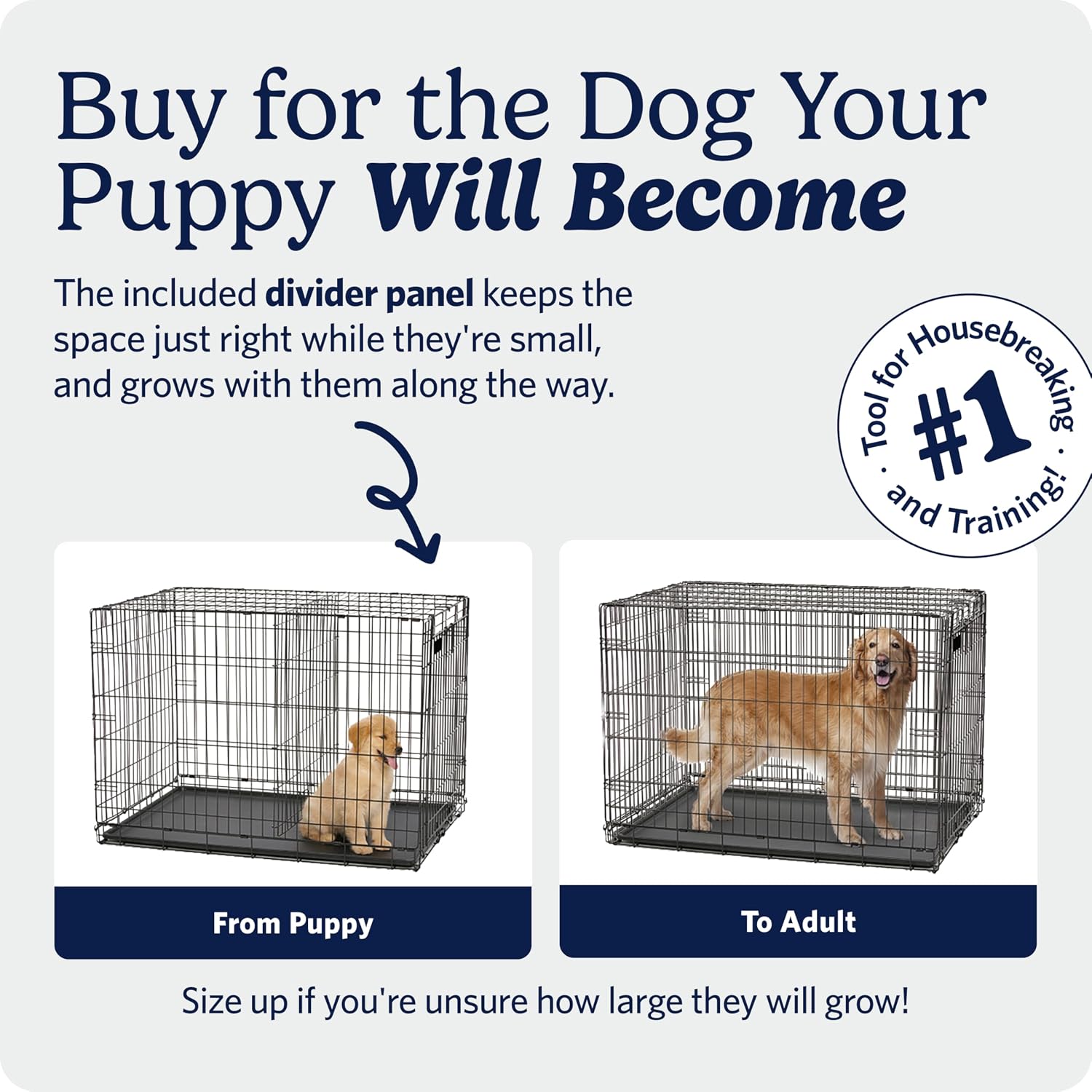 MidWest Homes for Pets 48-Inch iCrate for Extra-Large Breeds, 90-110 lbs, Single Door Folding Dog Crate with Divider Panel, Leak-Proof Tray & Secure Latches, Portable, Durable & Easy to Assemble