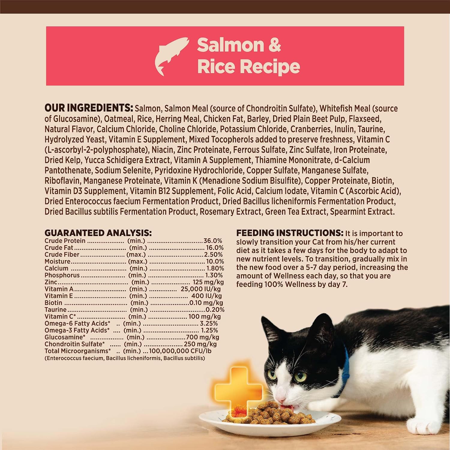 Wellness CORE+ Adult Dry Cat Food, Natural, Wholesome Grains Kibble, Digestive Health Chicken and Rice Recipe, 5 lb Bag