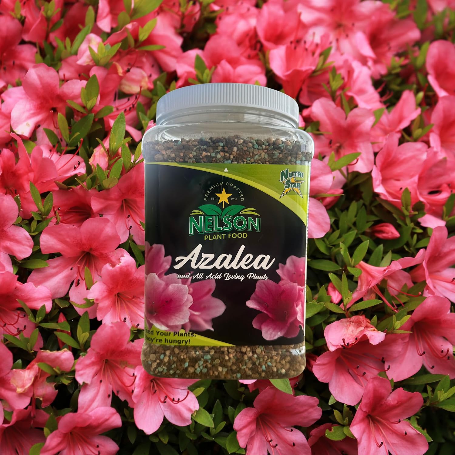 Nelson Plant Food for All Acid Loving Plants In Ground Container Patio Food Huge Blooms Azalea Jasmines Roses Camellias Gardenias NutriStar 9-13-11 (4 lb.)