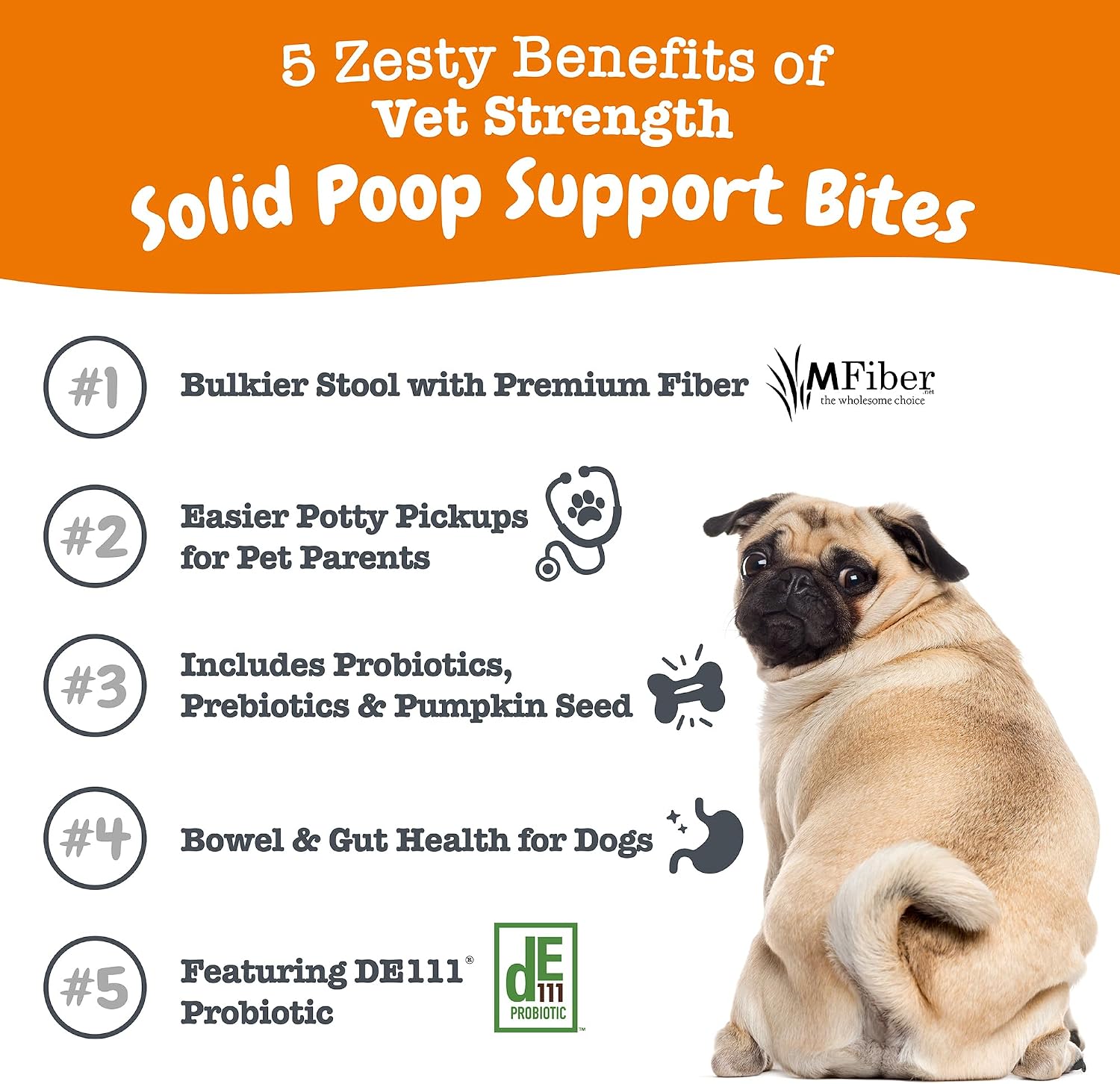 Zesty Paws Probiotics for Dogs - Digestive Enzymes for Gut Flora, Digestive Health, Diarrhea & Bowel Support - Clinically Studied DE111 - Dog Supplement Soft Chew for Pet Immune System - Pumpkin, 90ct