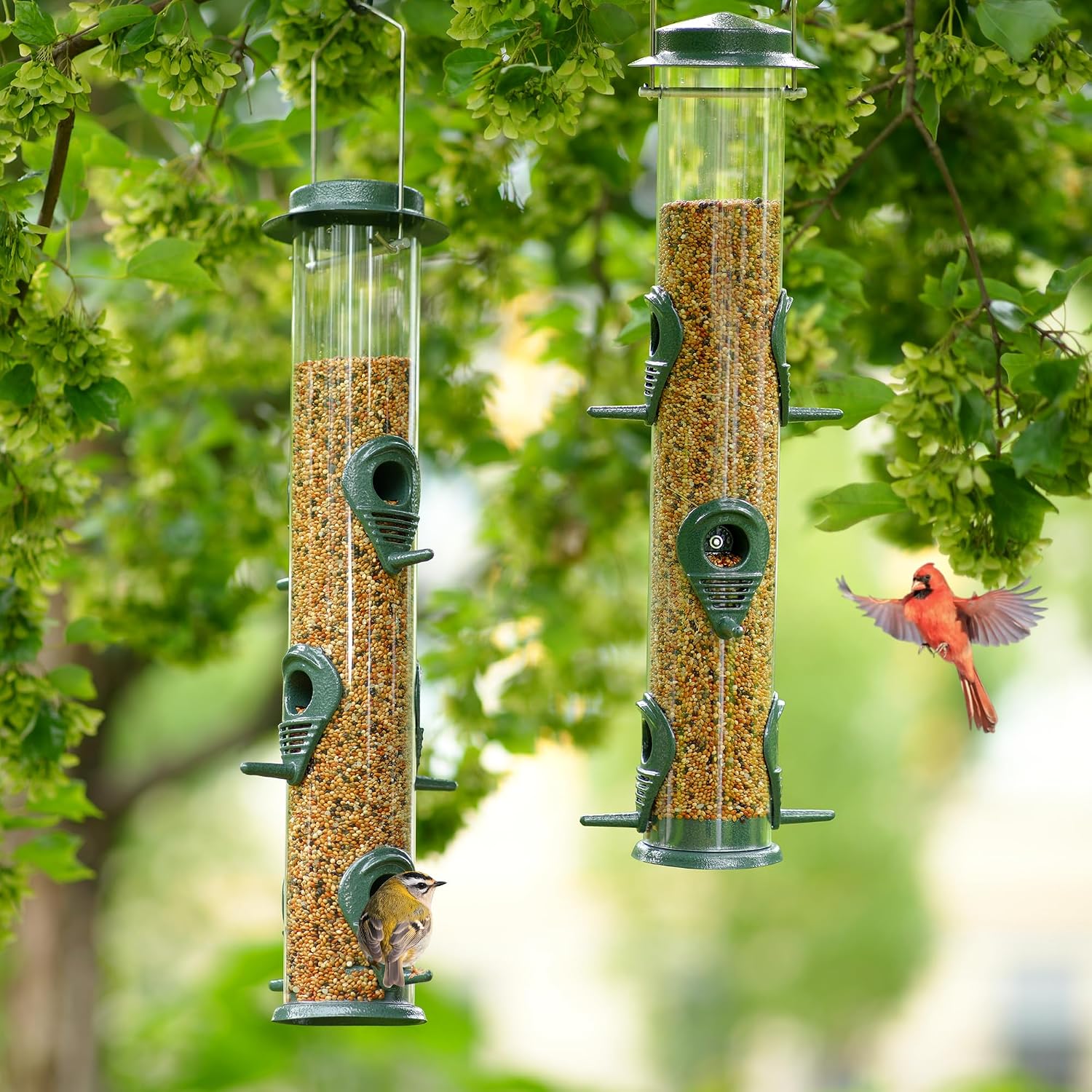 MIXXIDEA 1PK Metal Bird Feeders with 6 Feeding Ports, Tube Bird Feeder with Steel Hanger, Hard Plastic Wild Bird Feeder for Outdoors Hanging