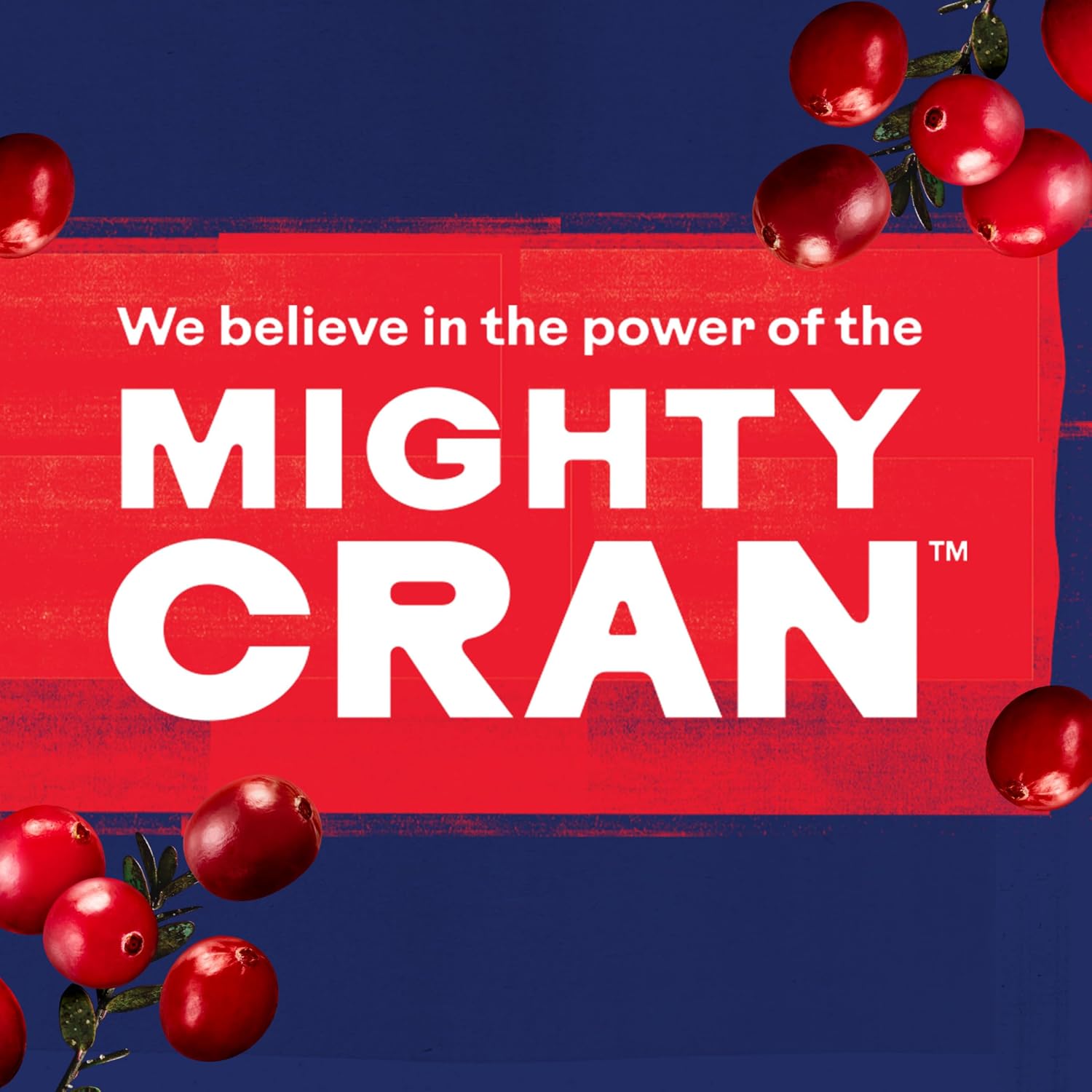 Ocean Spray® Cran-Raspberry® Cranberry Raspberry Juice Drink, 101.4 Fl Oz Bottle