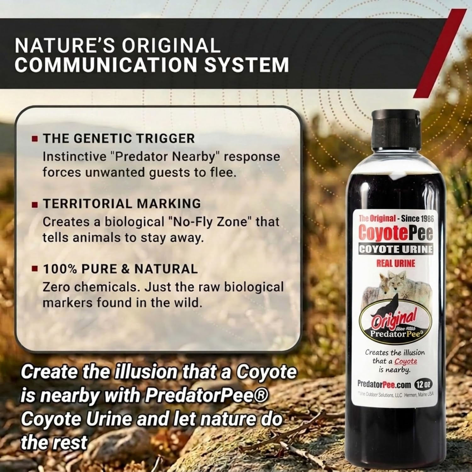 PredatorPee 100% Coyote Urine Natural Predator Scent Made in USA
