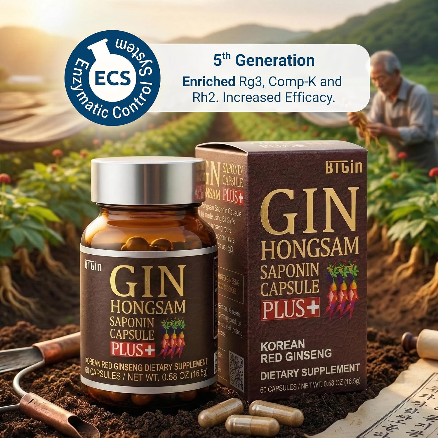 Gin Hongsam Saponin Capsule Plus Korean Red Panax Ginseng Extract - High Rg3 & Compound K Supplement - Caffeine Free Extra Strength Energy