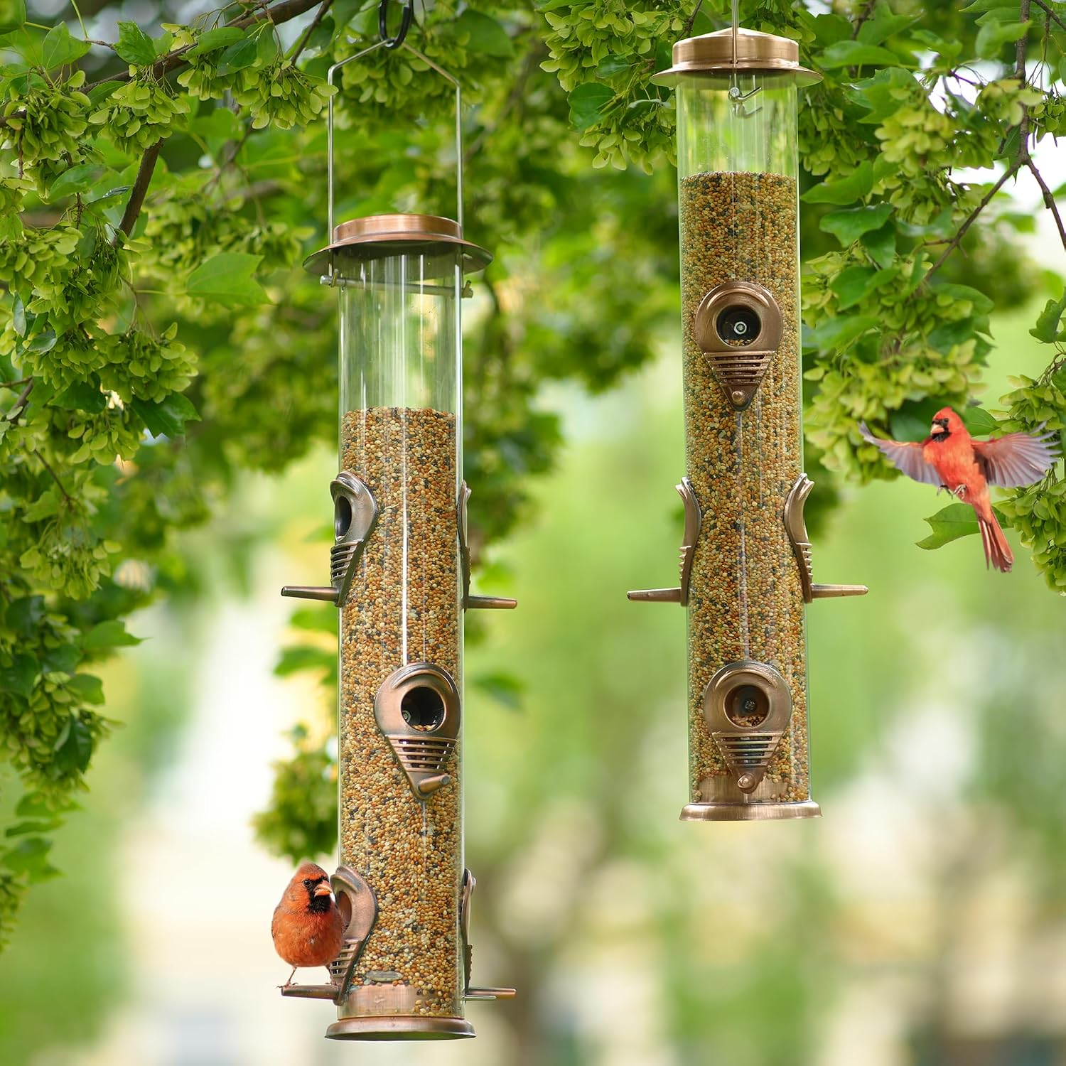 MIXXIDEA 1PK Metal Bird Feeders with 6 Feeding Ports, Tube Bird Feeder with Steel Hanger, Hard Plastic Wild Bird Feeder for Outdoors Hanging