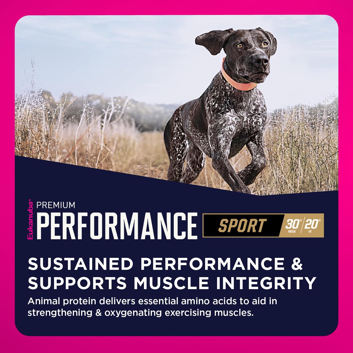 Eukanuba Adult Premium Performance 30/20 Sport Dry Dog Food, 28 lb Bag