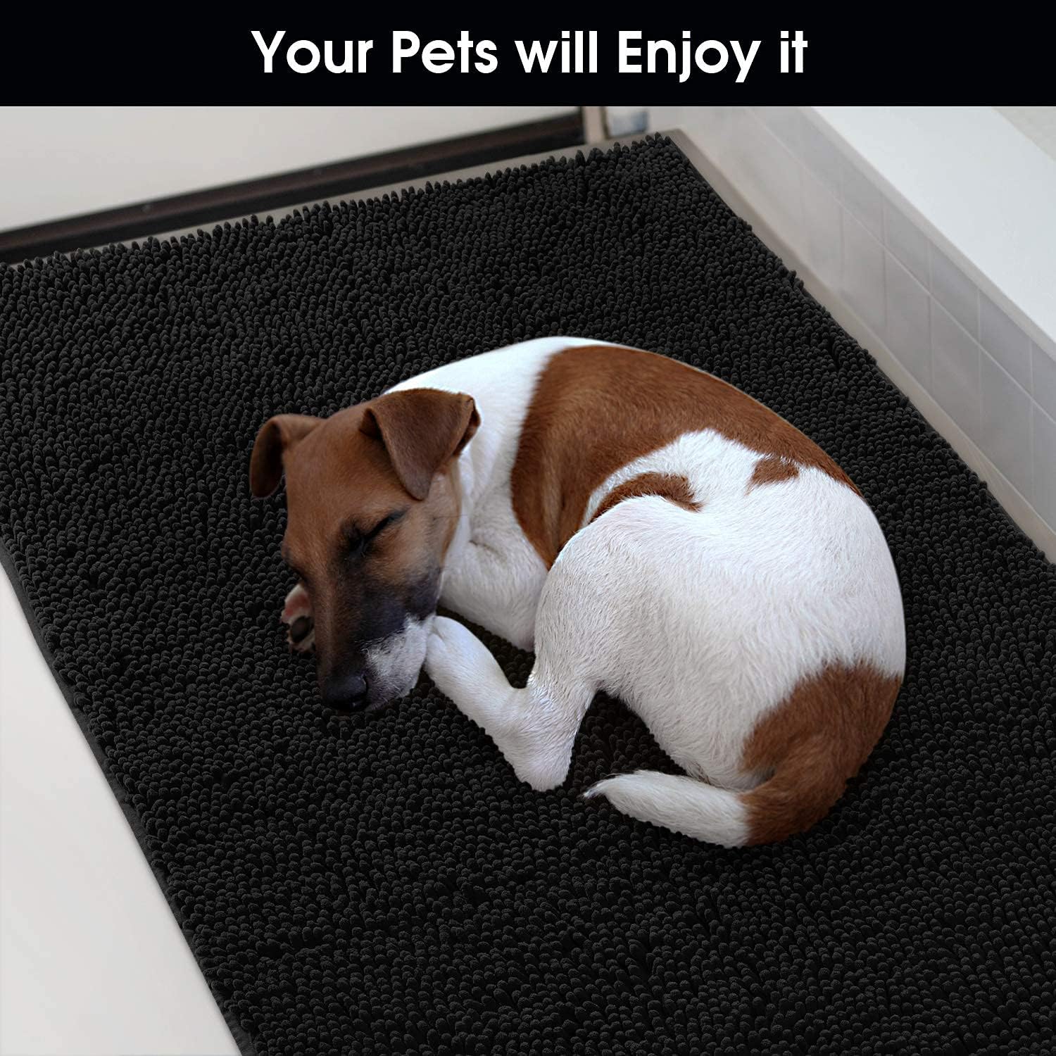 HOMEIDEAS Dog Door Mat for Muddy Paws 30x20, Absorbs Moisture and Dirt, Non-Slip Washable Doormat, Soft Chenille Mud Mat for Dogs