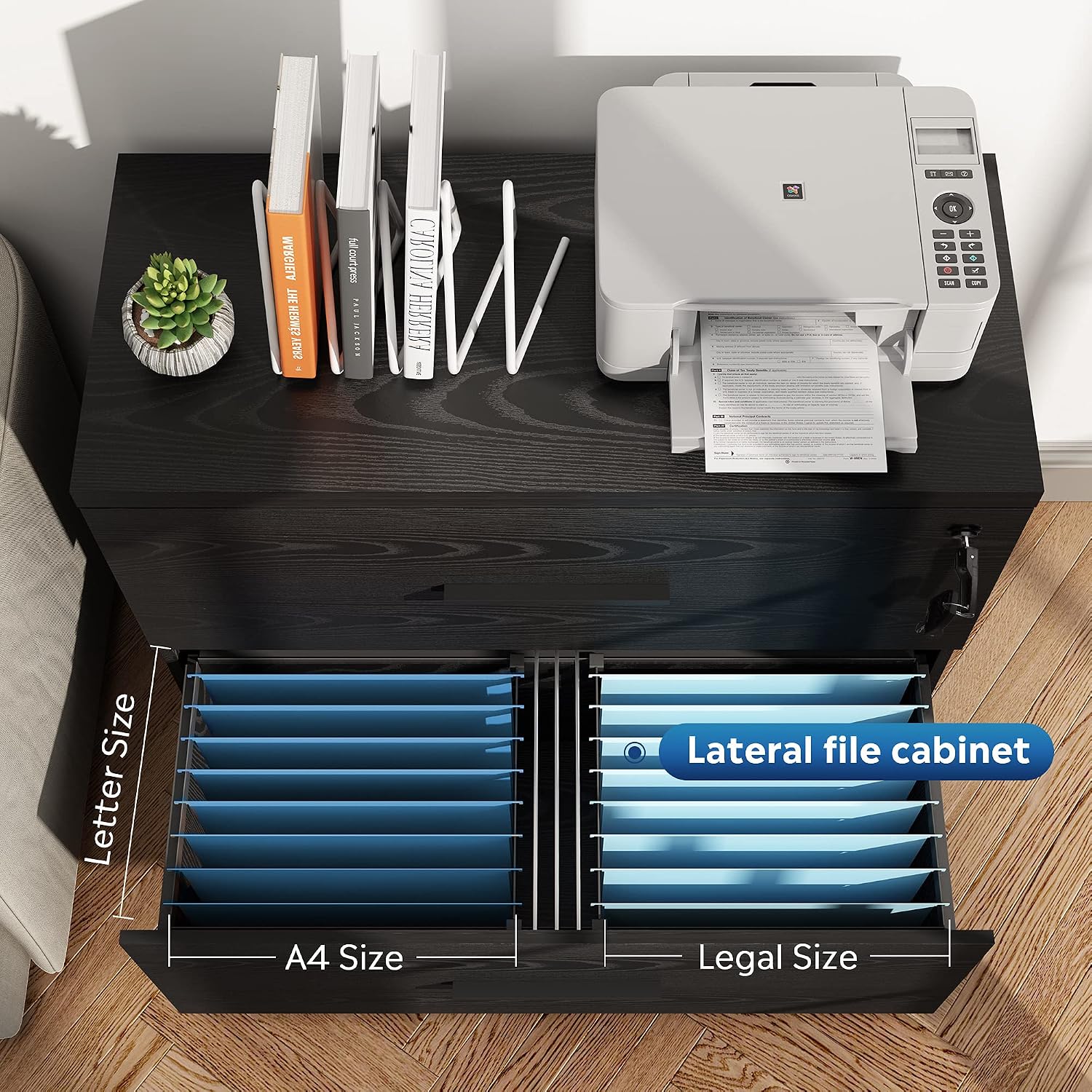 DEVAISE Lateral File Cabinet with Lock, 2 Drawer Filing Cabinet, Black