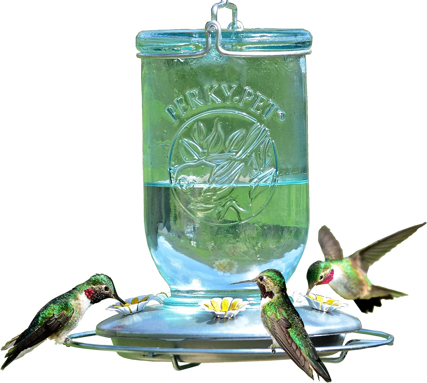 Perky-Pet Mason Jar Hummingbird Feeder, 32 oz Nectar Capacity | Vintage Style Glass Bird Feeder, 5 Flower Feeding Ports, Outdoor Garden Backyard Wildlife