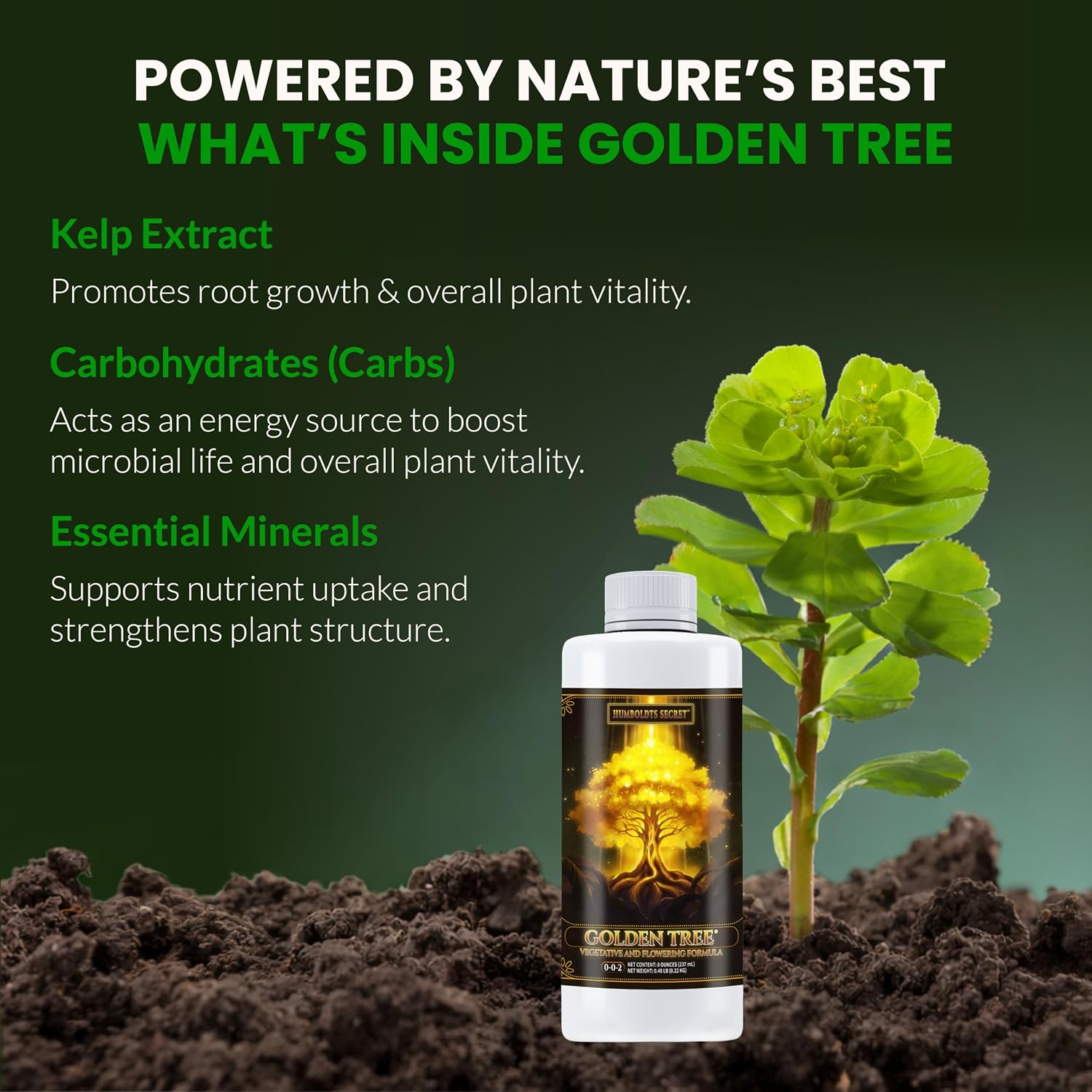 Humboldts Secret Golden Tree Liquid Plant Food | Enhances Growth Indoors or Outdoors | All-in-One Plant Nutrients for Vegetables, Trees, Flowers, Fruits, Roses, Lawns, Tomatoes | 16 Ounce