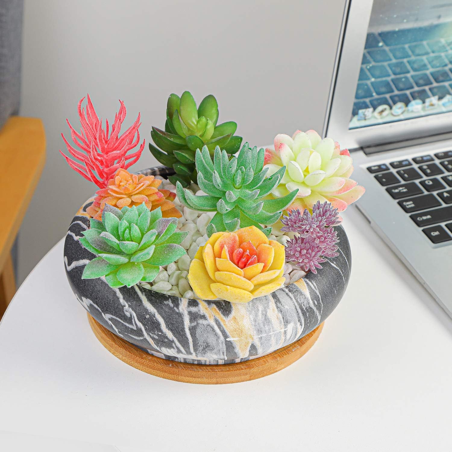 Succulent Pots, 7.3'' Large Bonsai Pots with Tray, Shallow Planters