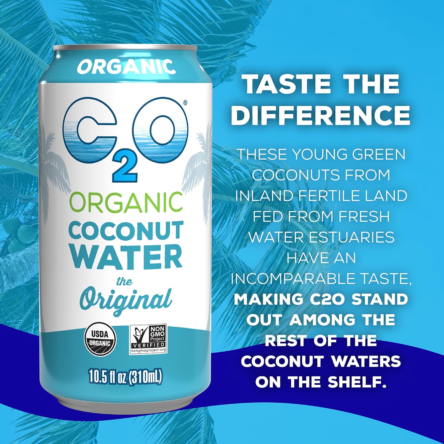 C2O - Coconut Water with Pineapple (12 Pack) - Made with Fresh Coconut Water - Plant Based - Non GMO - Canned Water - Natural Hydration, Essential Electrolytes, & Potassium - 12 Cans, 17.5 FL OZ