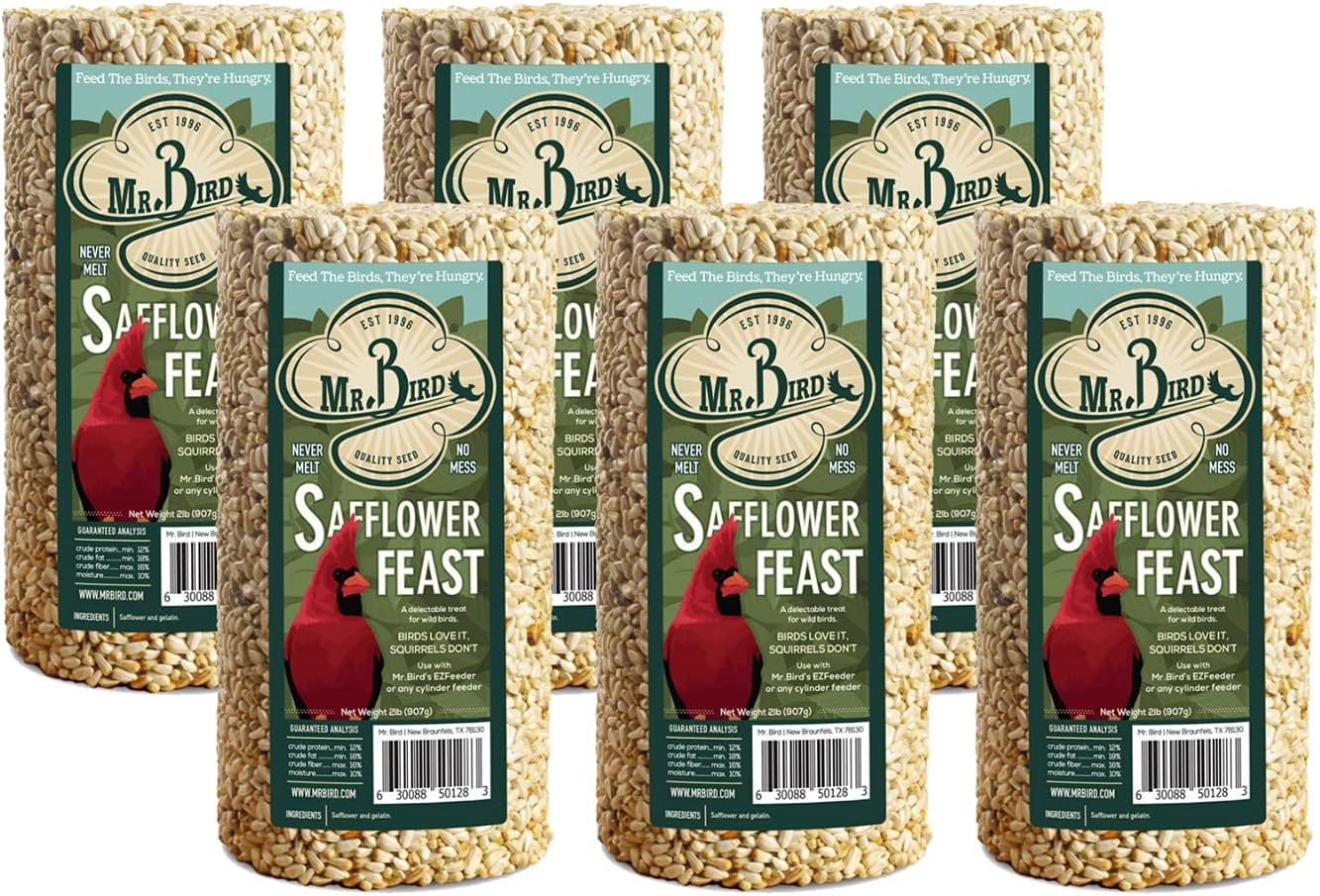 2-Pack Mr. Bird Safflower Feast Wild Bird Seed Cylinder 28oz | Wild Bird Food for Outdoor Birds | Backyard Birdfeeding | Squirrel Resistant