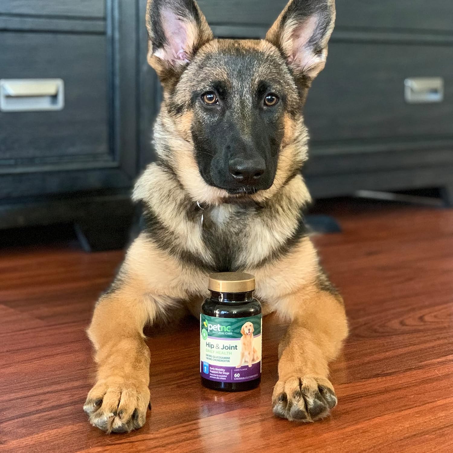 PetNC Natural Care Hip and Joint Soft Chews for Dogs, 90 Count - 27591 | Glucosamine Chondroitin MSM Dog Chews with Hyaluronic Acid, Liver Flavored Bone & Joint Support Supplement, For All Breeds