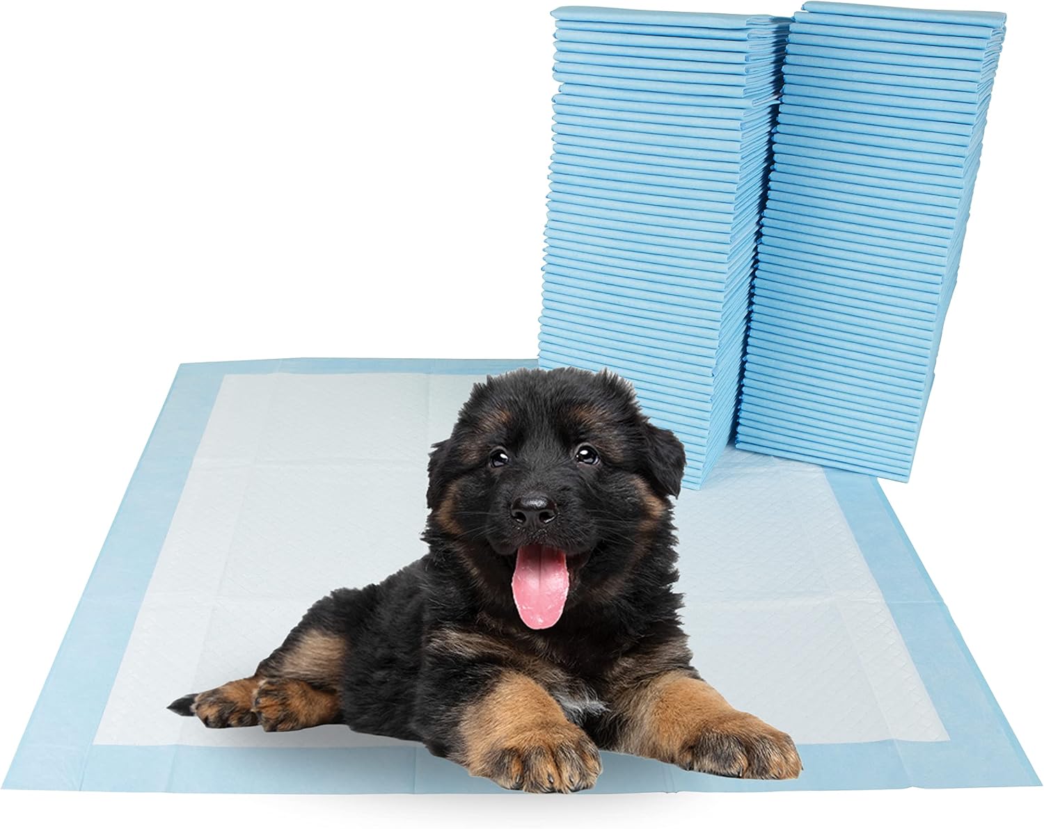 BV Puppy Pads Leak-Proof 100 Count 22"x 22" - Absorbent Pee Pads for Dogs with 6-Layer Design, Rapid Dry Sheet & Built-in Attractant - Dog Pad with Odor Control, Perfect for Puppies & Senior Dogs