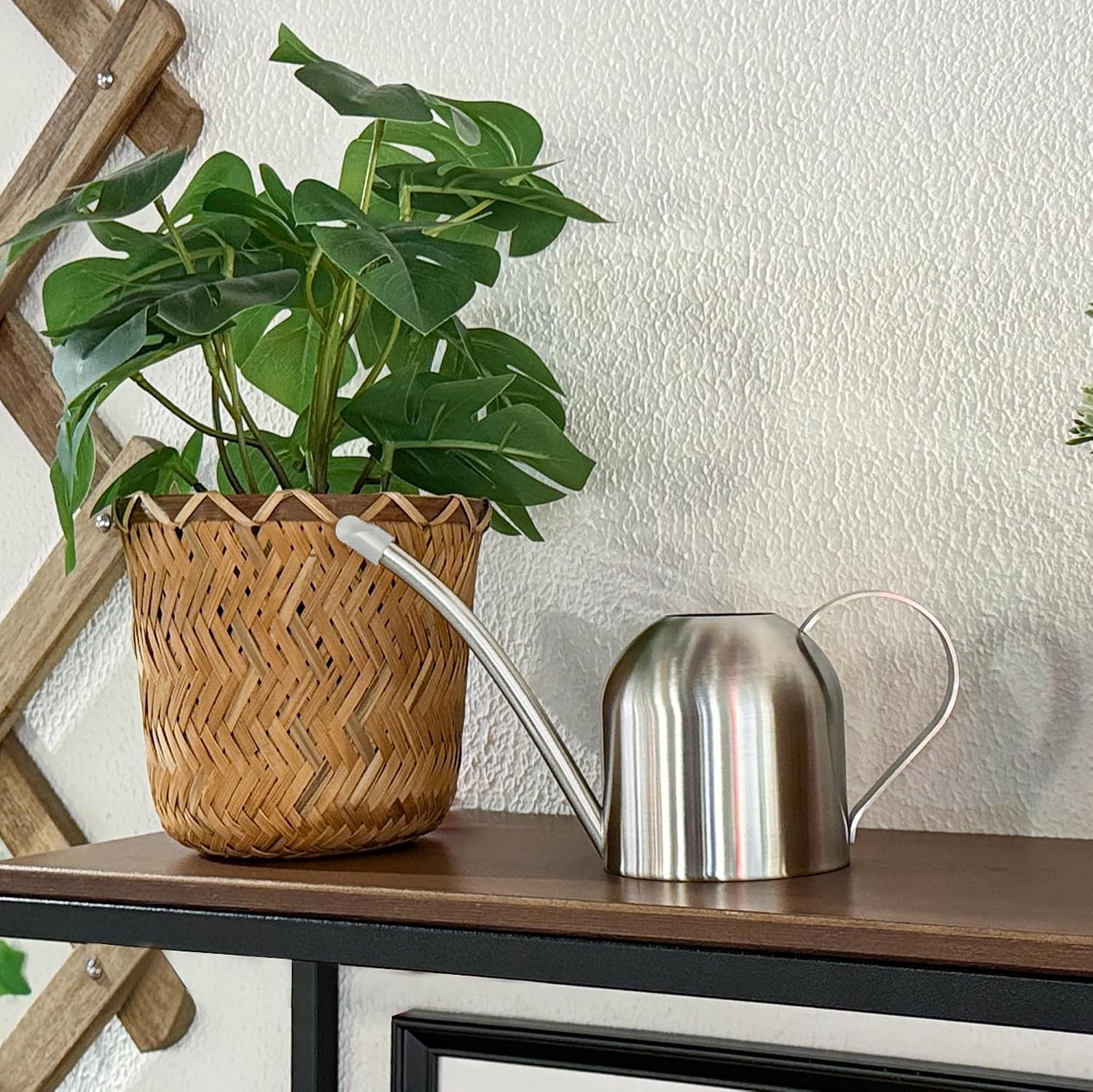 IMEEA Indoor Watering Can for House Plants 33oz/1L Brushed Stainless Steel Watering Can with Long Spout for Succulents, Bonsai