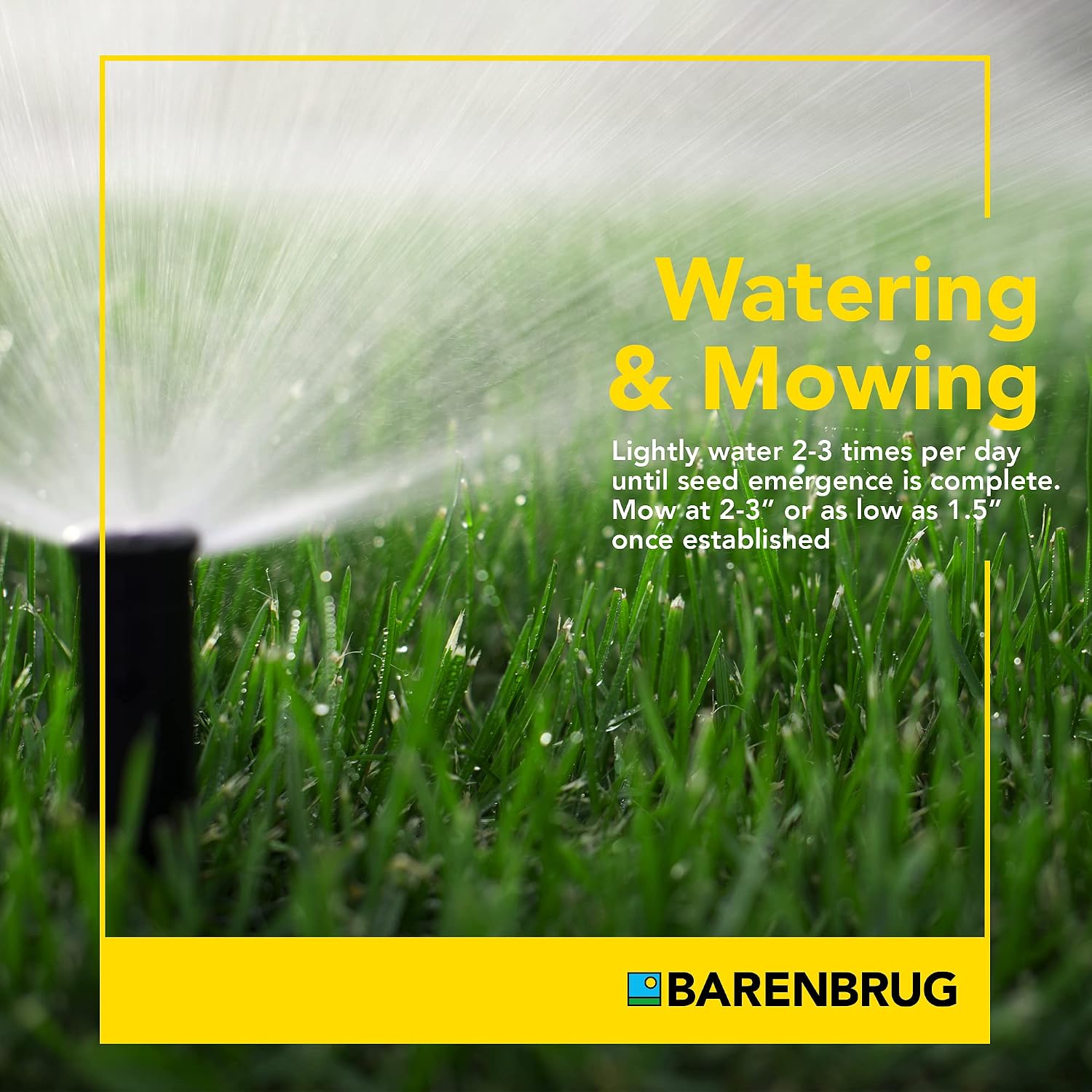 Barenbrug 25626 Turf Sense Athletic Field Grass Seed Grows in Areas of Sun and Partial Shade, 25 LB Bag