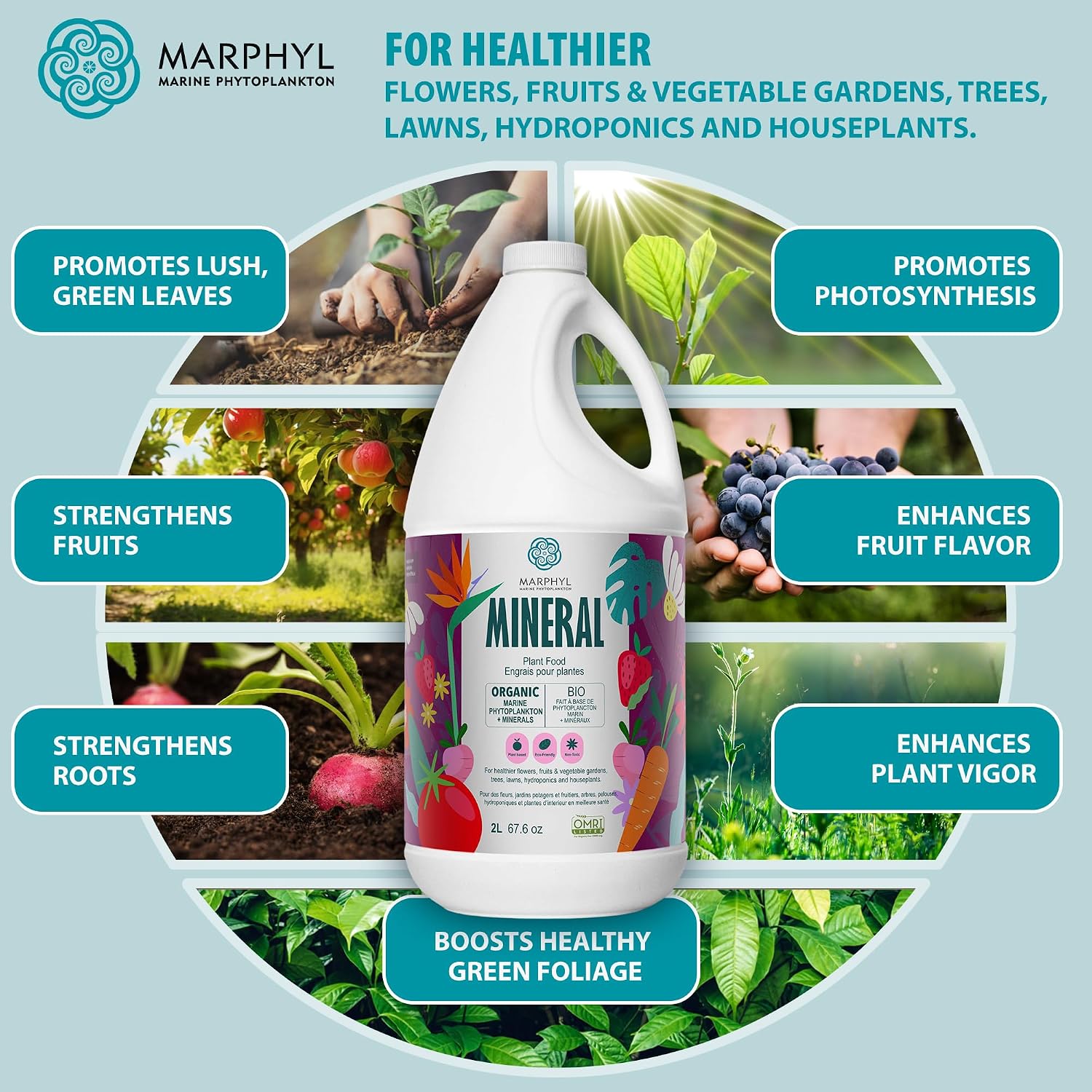 MARPHYL All-Purpose Plant Food – Organic Nutrient-Rich Fertilizer & Soil Enhancer for Indoor & Outdoor Flowers, Vegetables, Succulents, Bamboo & Hydroponics